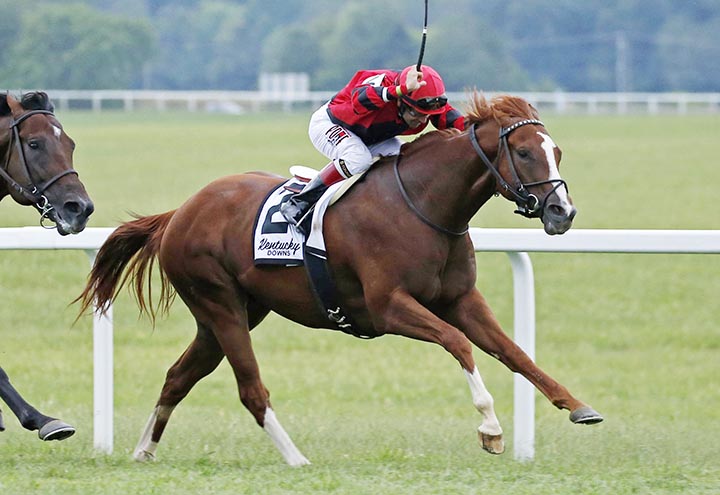 Proforma wins the Kentucky Downs Turf Sprint Stakes