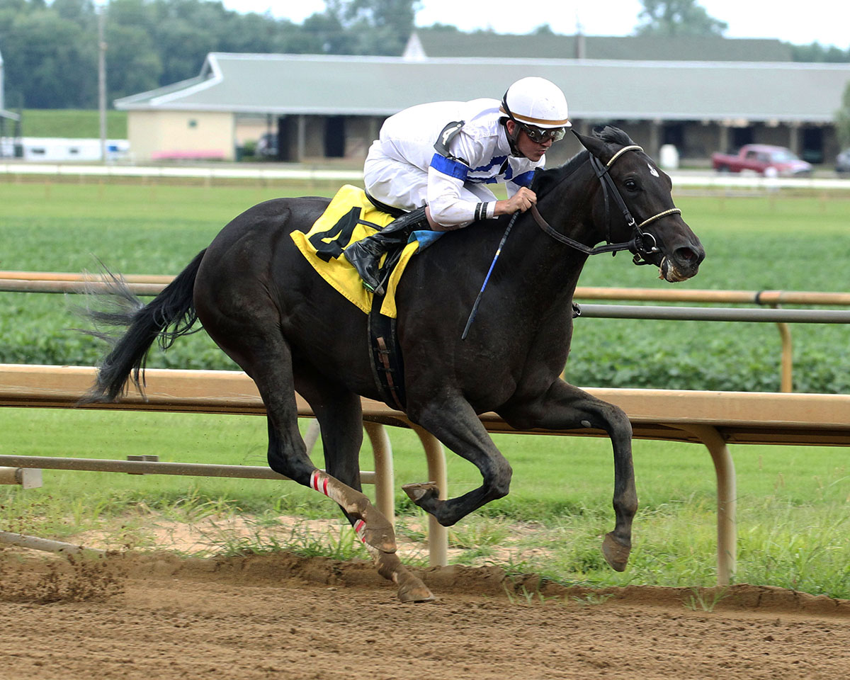 Profound Legacy wins a July 21 allowance race