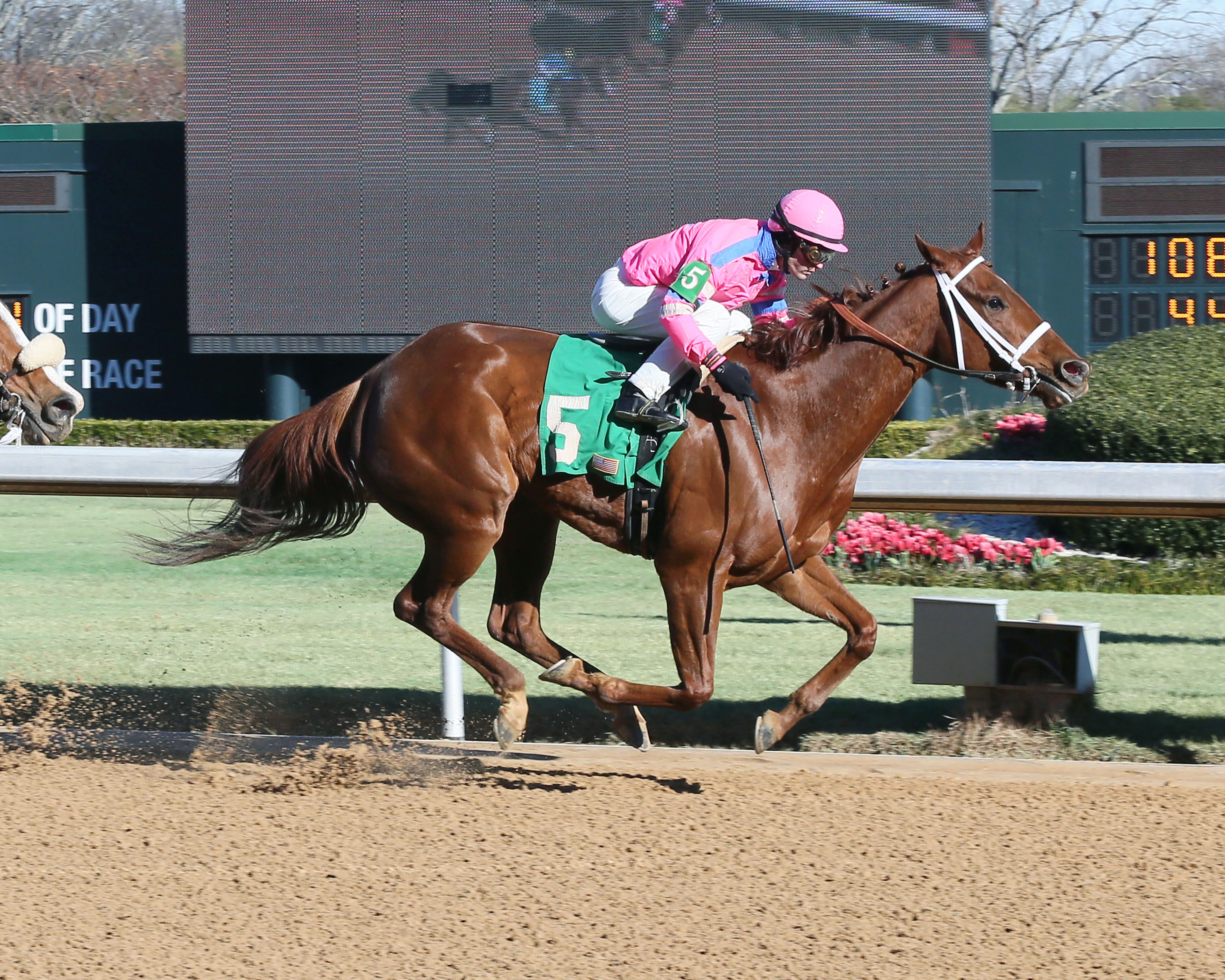 Profound Moment wins a Jan. 12 allowance race