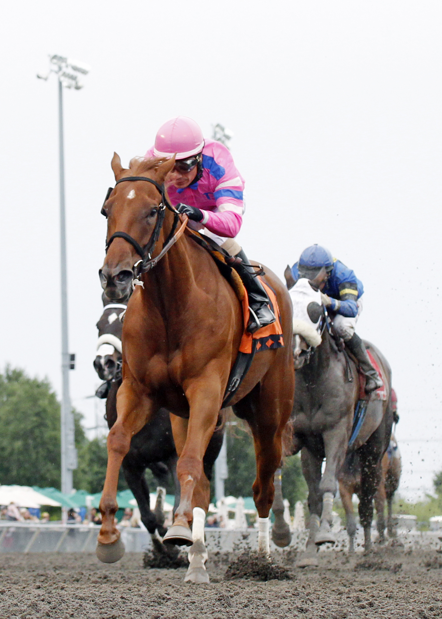 Profound Moment wins the Washington State Legislators Stakes