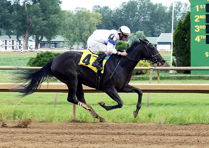 Profound Legacy wins a July 2018 allowance race at Ellis Park