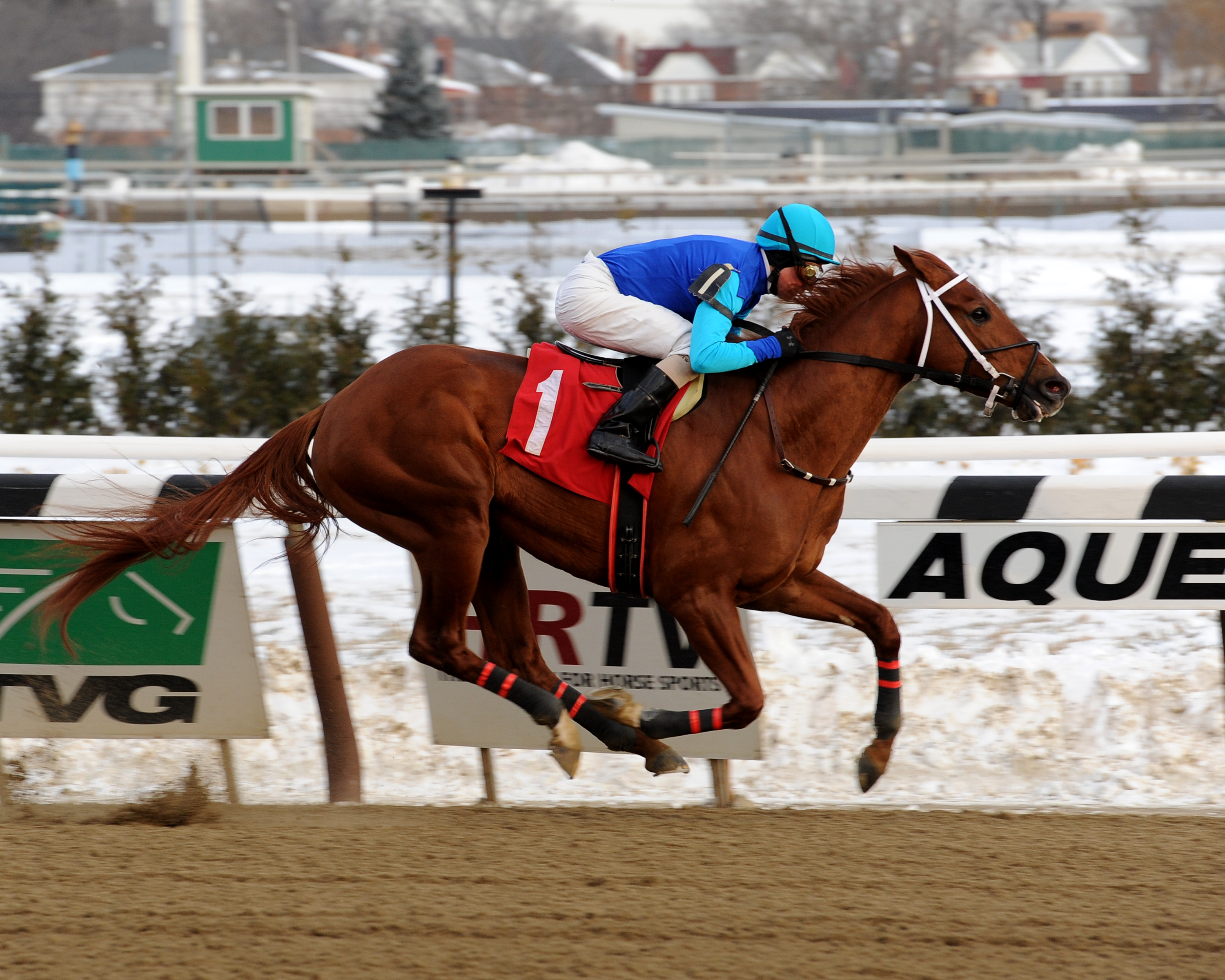 Prohibition wins an allowance race