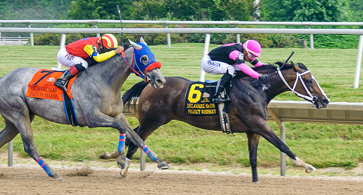 Project Whiskey wins the 2020 Delaware Oaks at Delaware Park