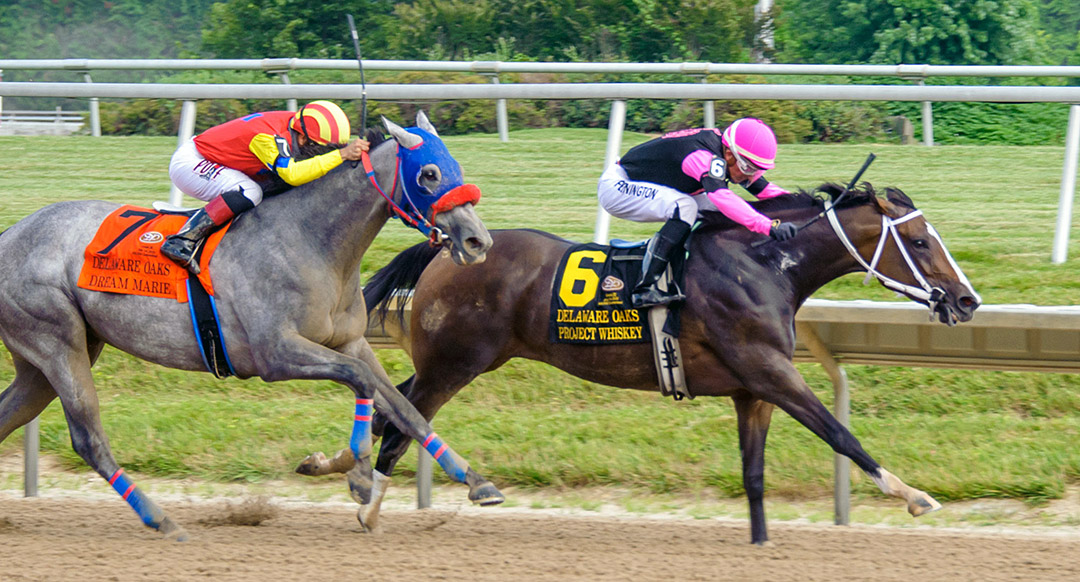 Project Whiskey wins the 2020 Delaware Oaks at Delaware Park