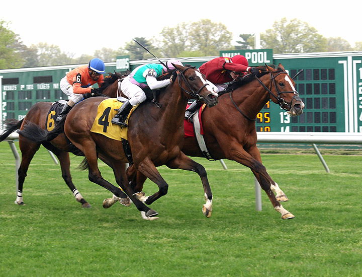 Projected (No. 4) finishes second to Hawkish in the Cliff Hanger Stakes at Monmouth Park