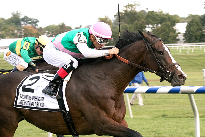 Projected wins the 2017 Baltimore/Washington International Turf Cup Stakes