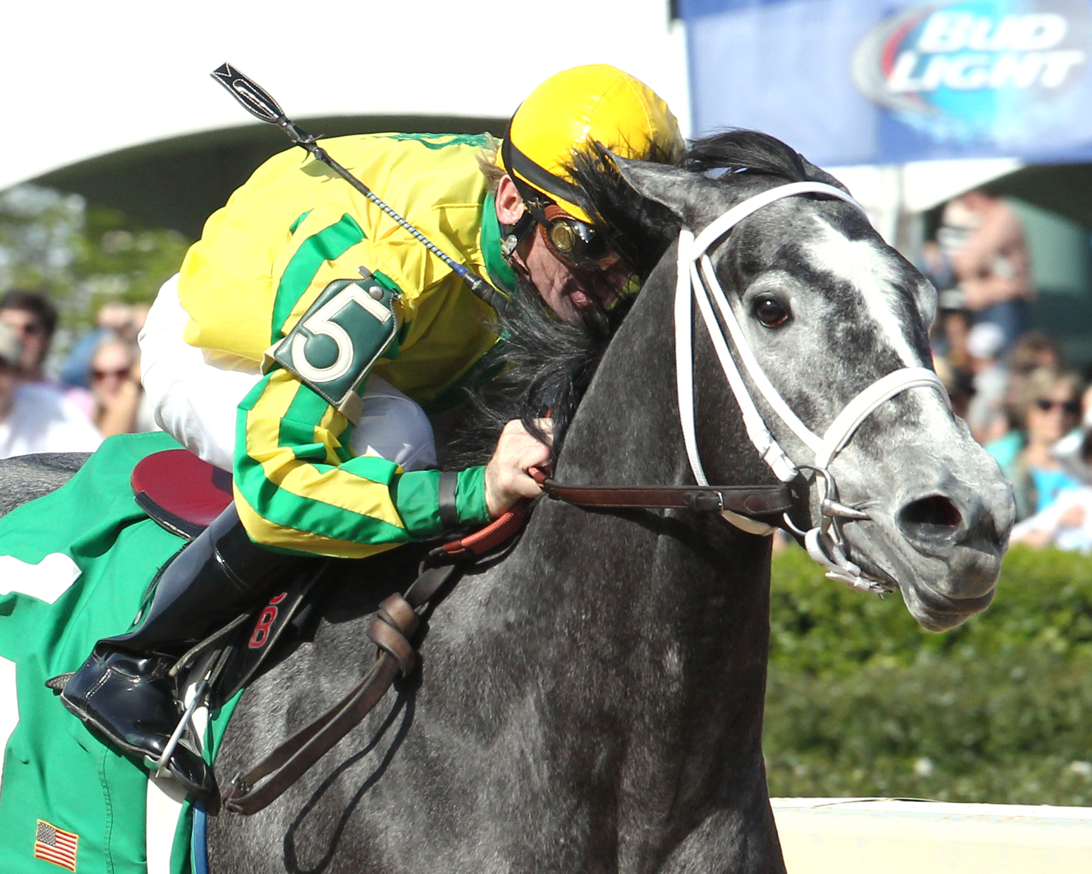 Promise Me Silver wins 2015 Instant Racing