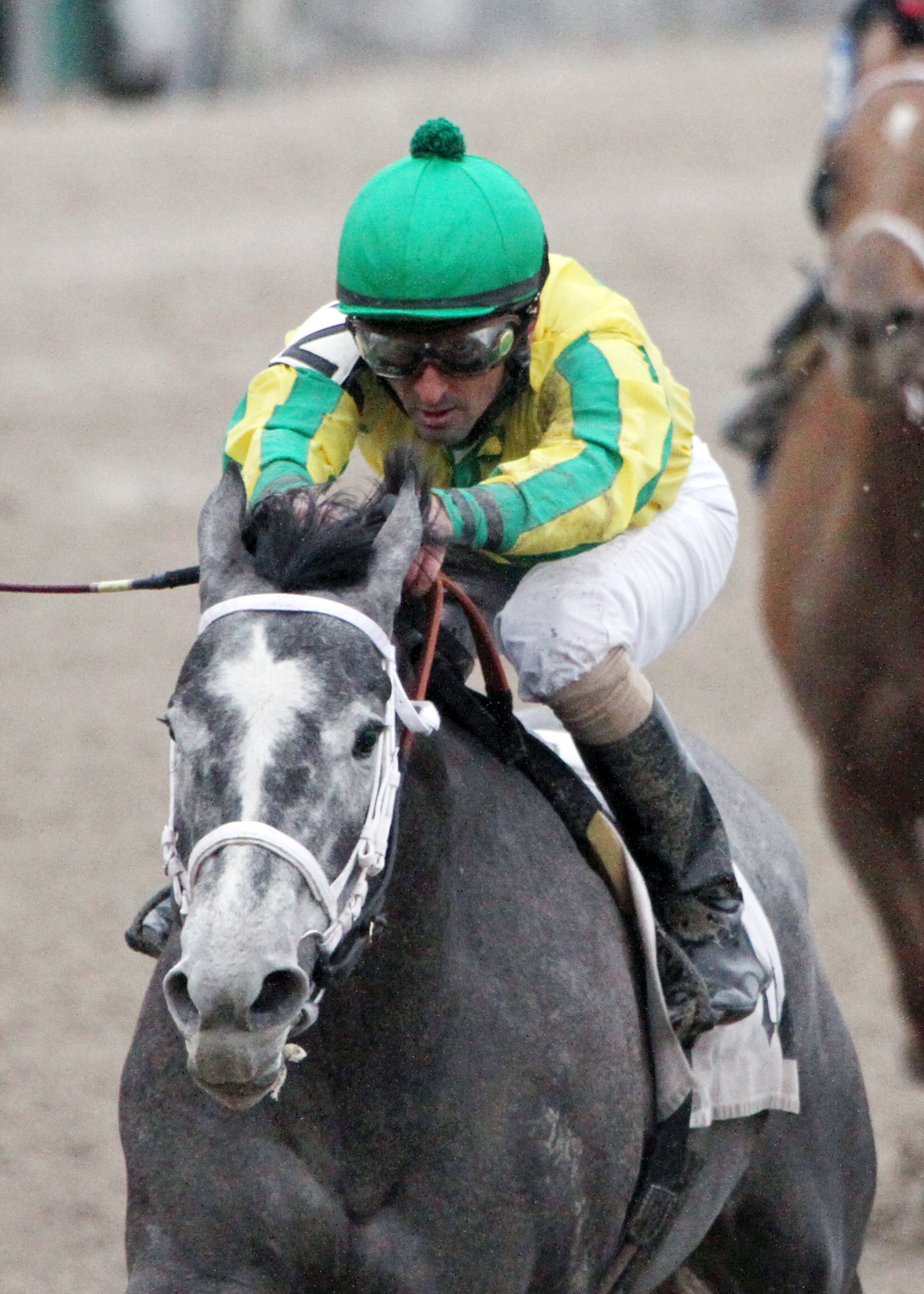 Promise Me Silver wins the Lelellier Memorial Stakes