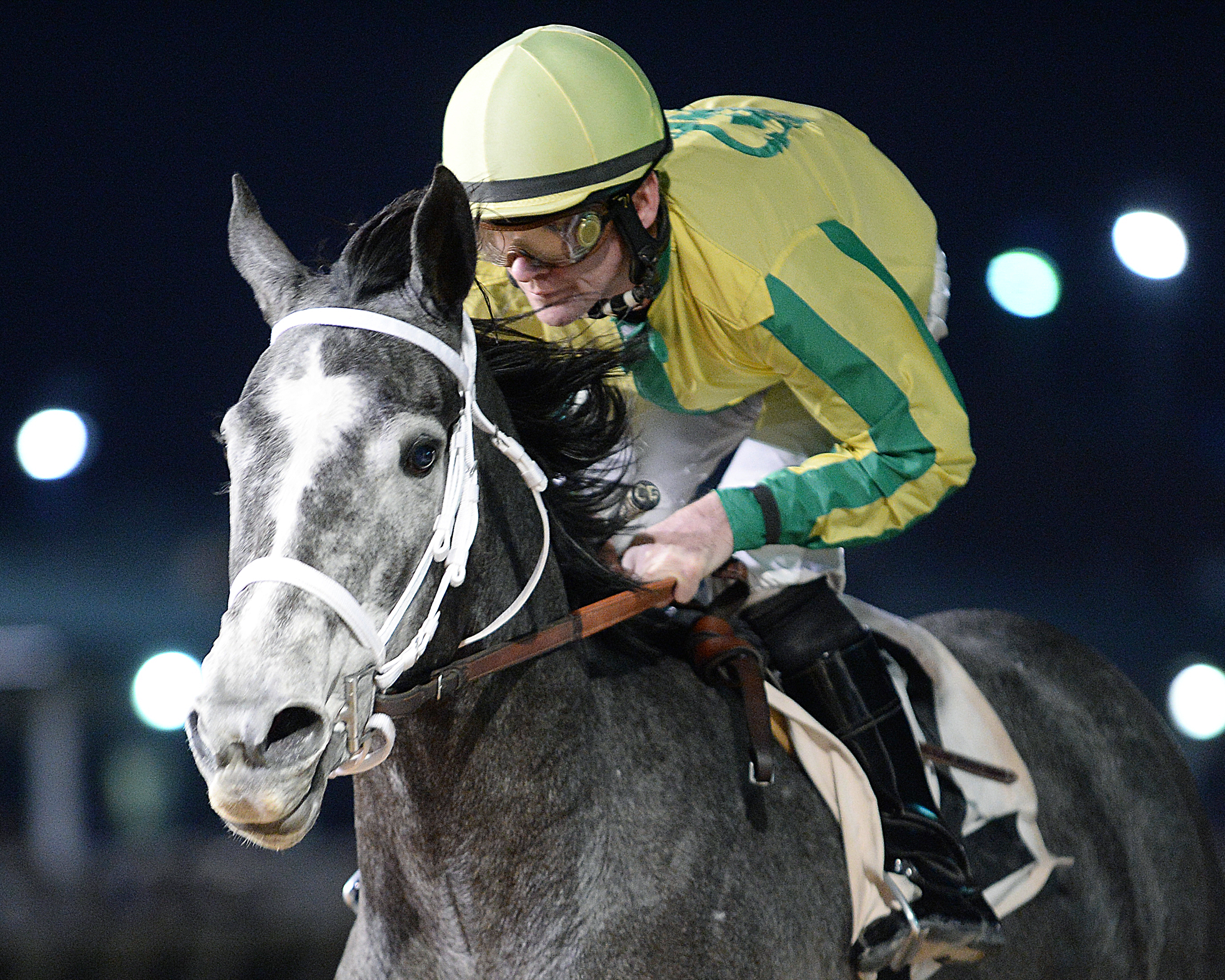 Promise Me Silver wins the Two Altazano Stakes