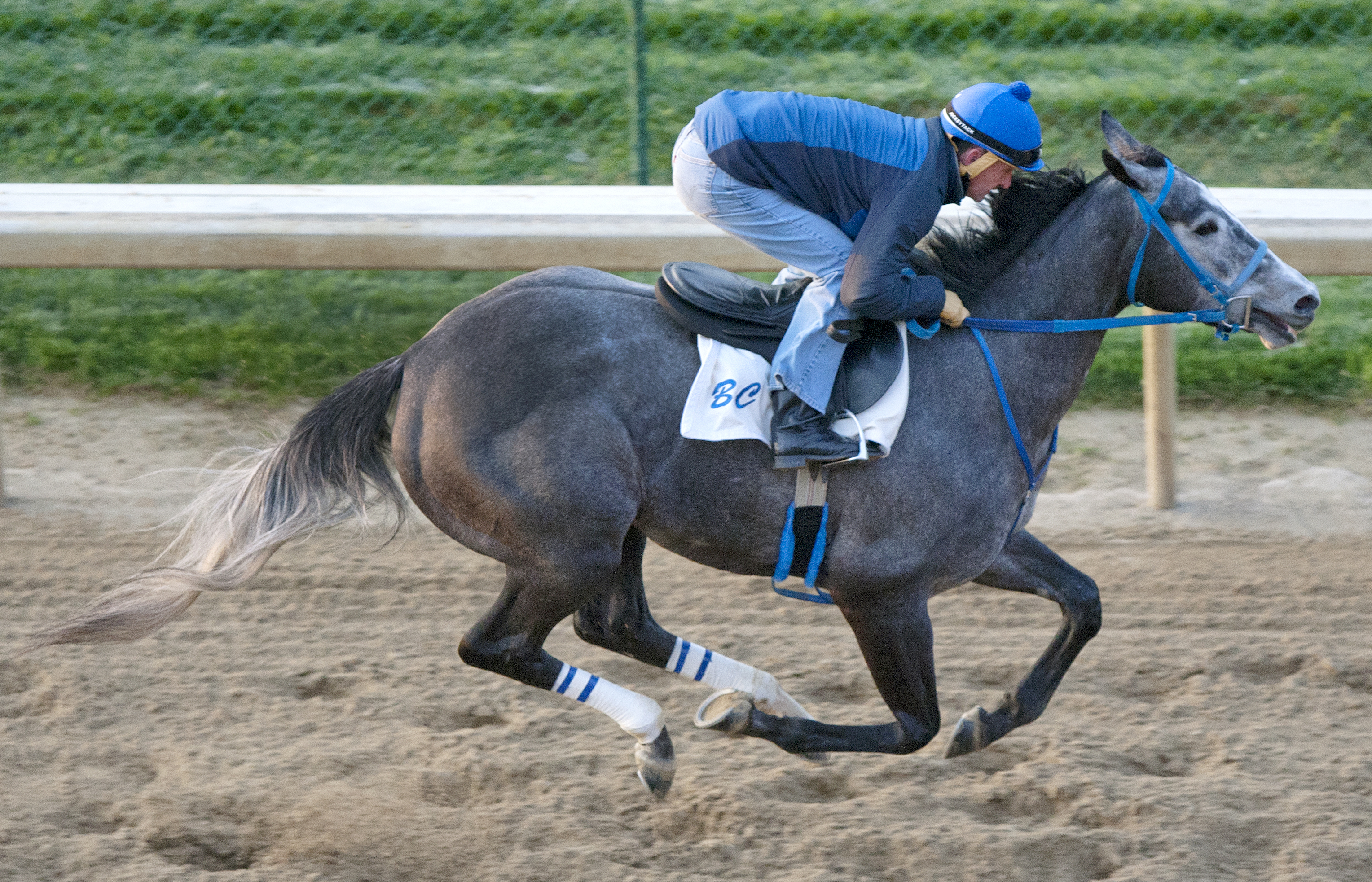 Promise Me Silver at Churchill on April 24