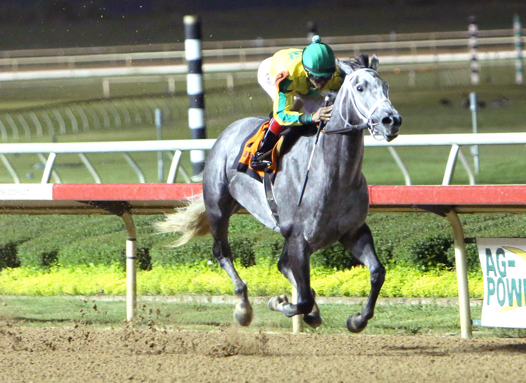 Promise Me Silver wins the Valor Farm Stakes