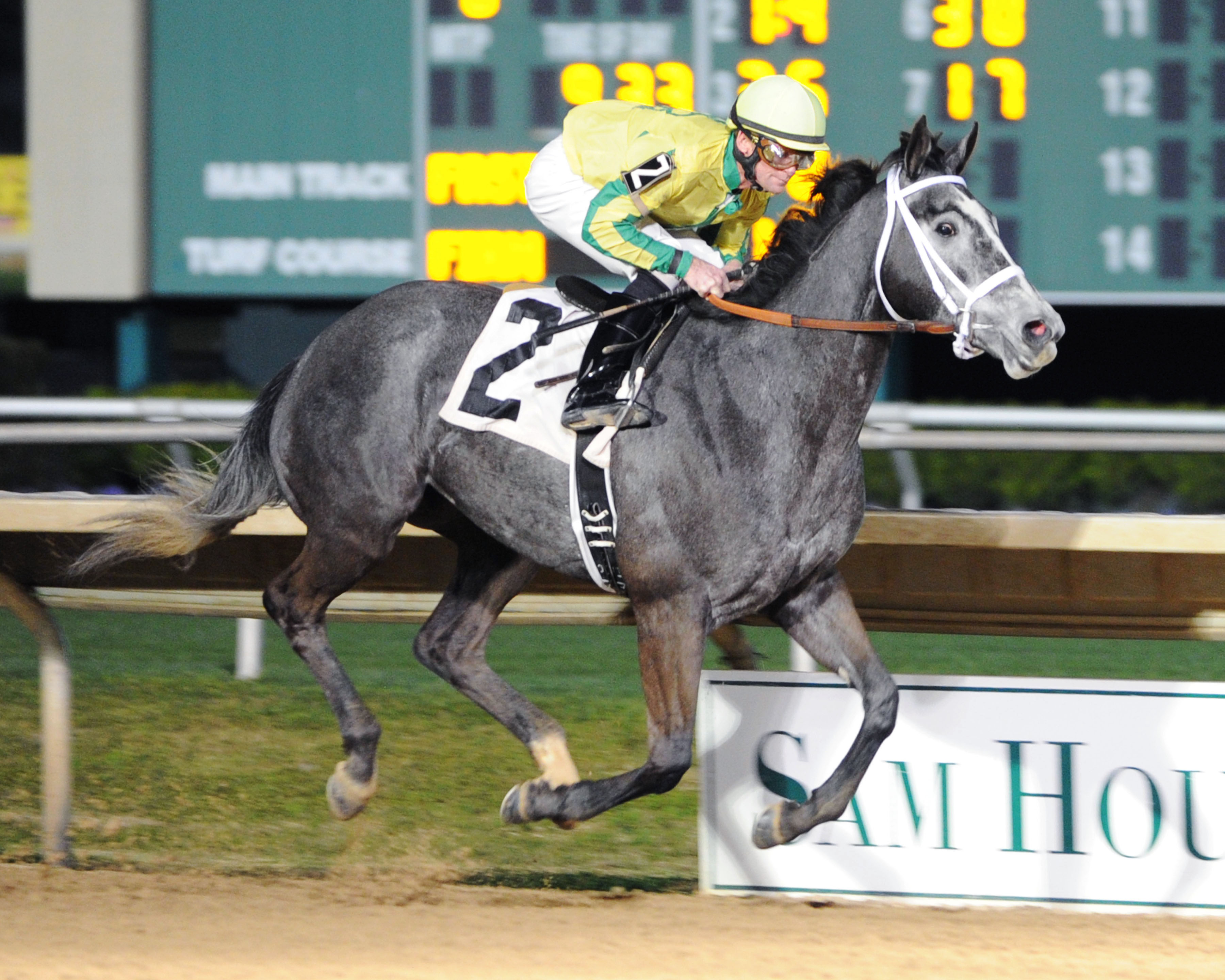 Promise Me Silver wins the Two Altazano Stakes