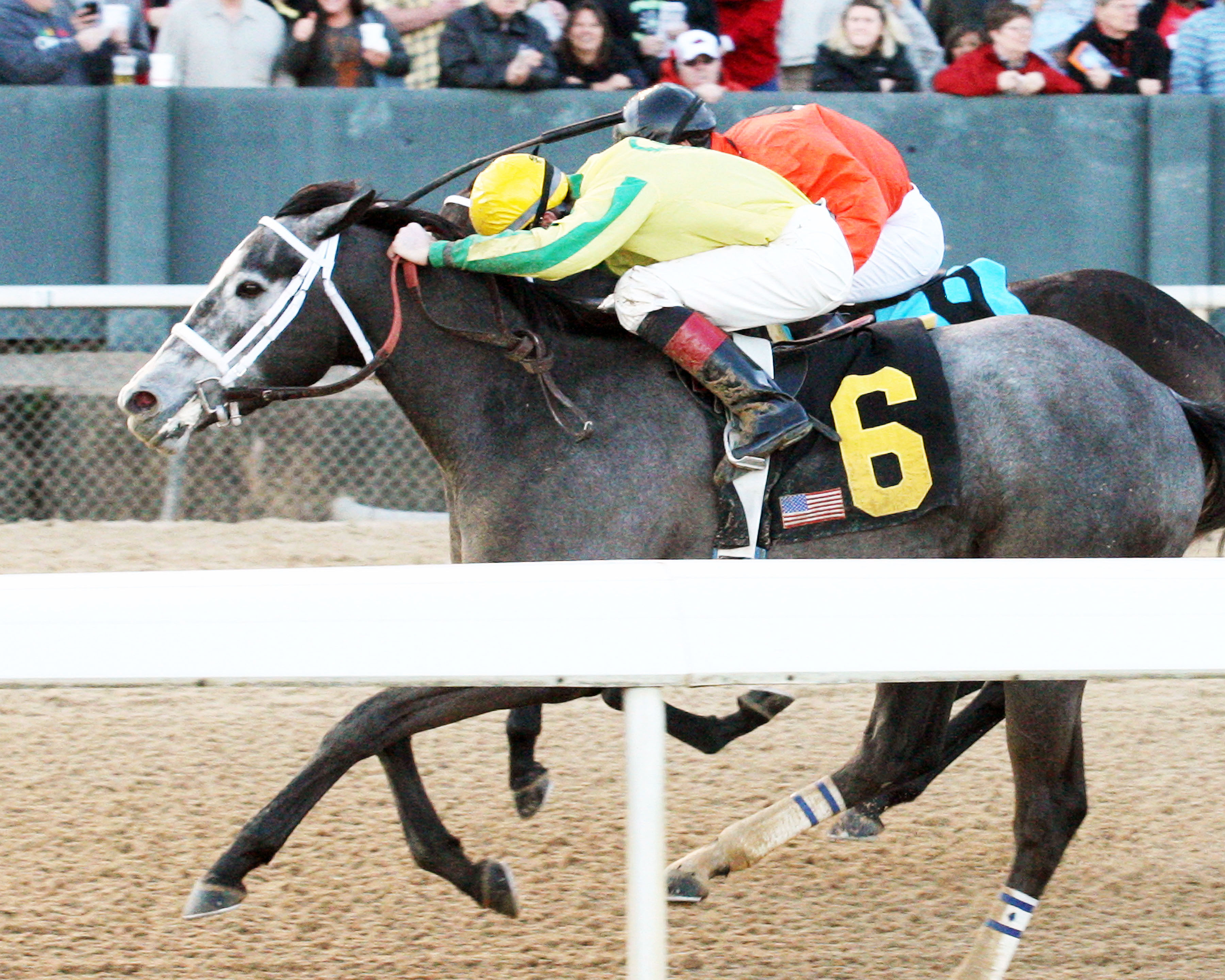 Promise Me Silver wins the Dixie Belle