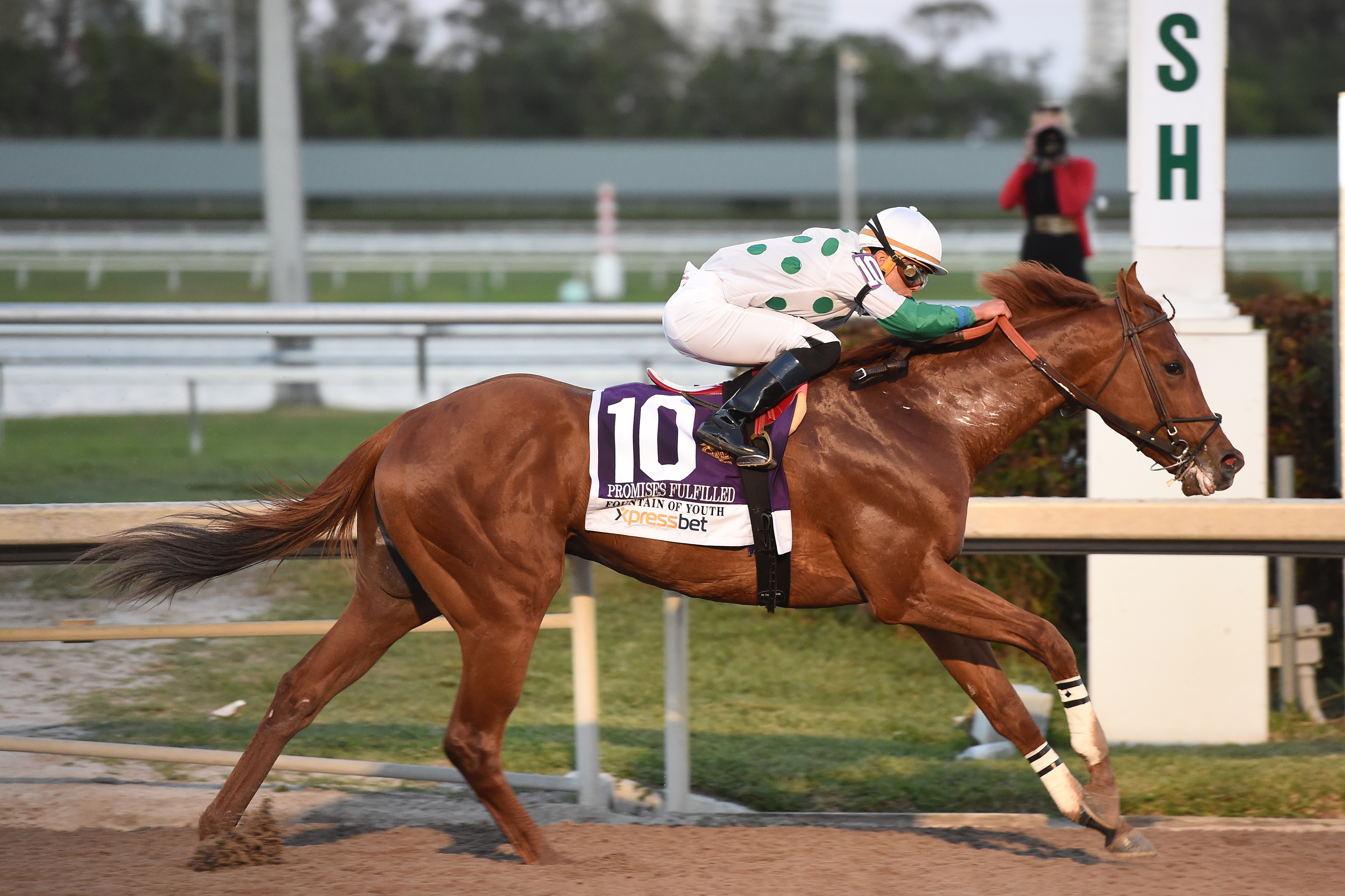Promises Fulfilled with the 2018 Fountain of Youth Stakes