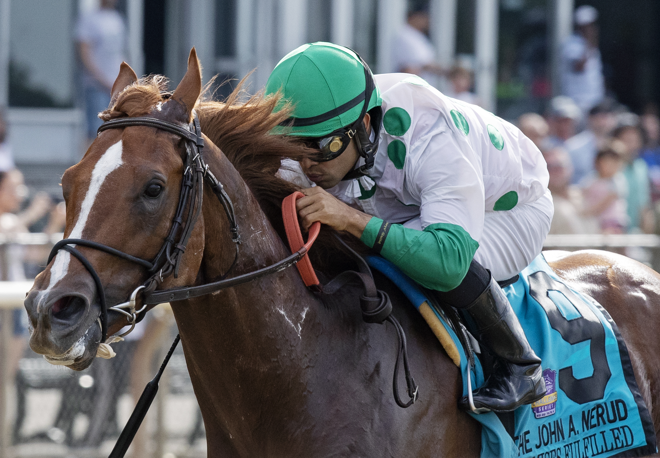 Promises Fulfilled wins the 2019 John Nerud Stakes
