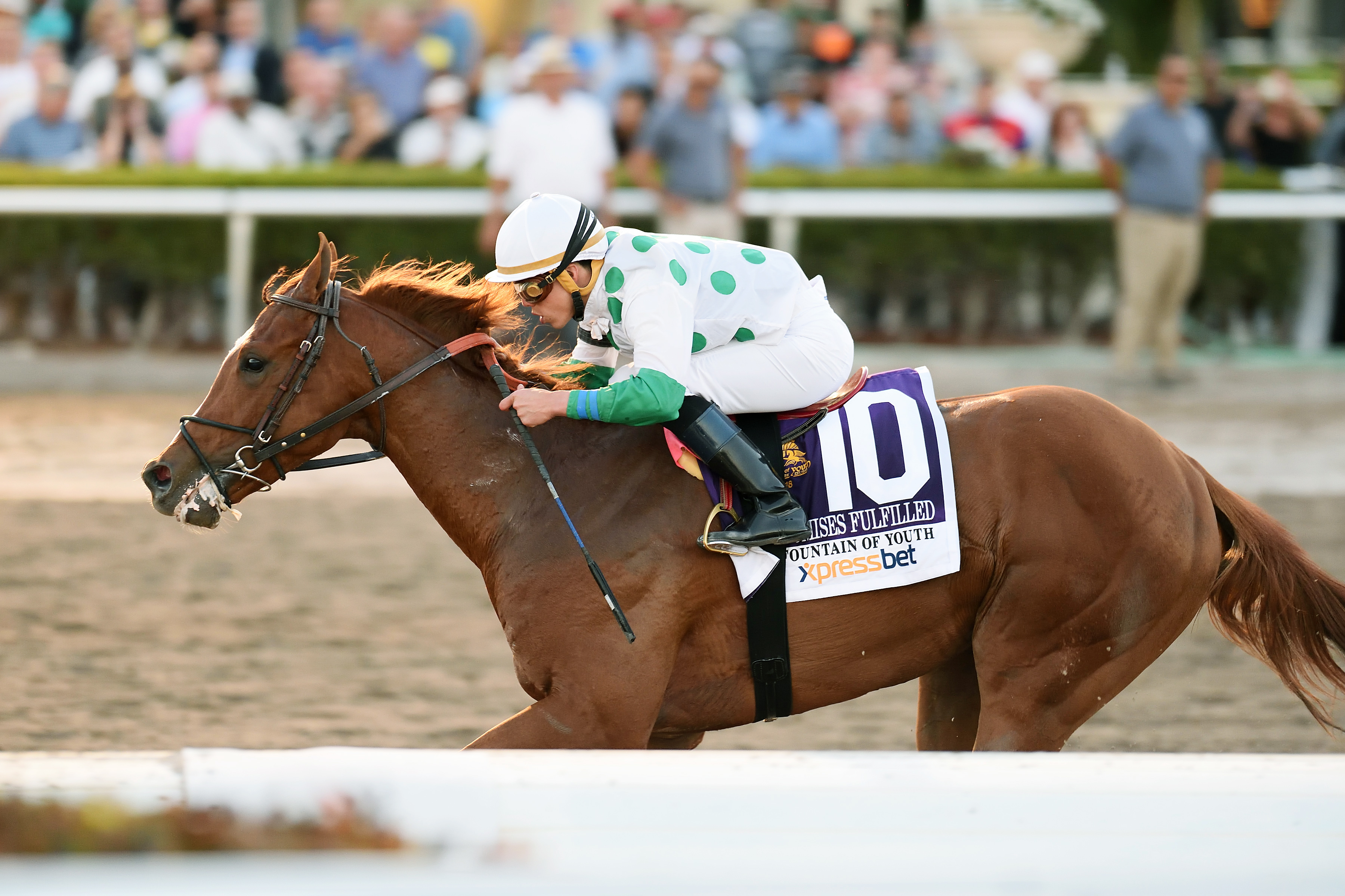 Promises Fulfilled wins the 2018 Fountain of Youth