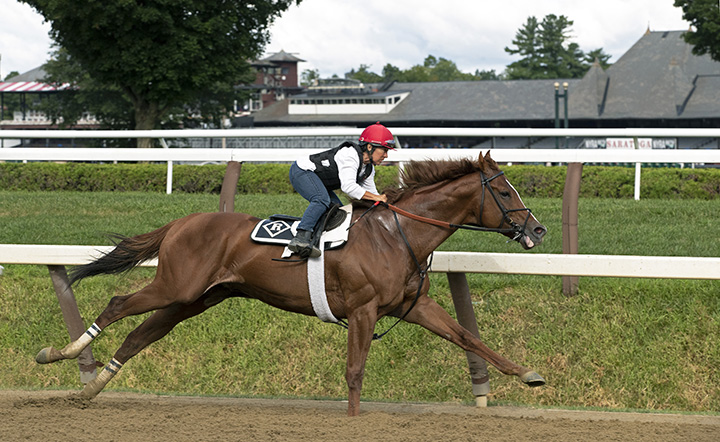 Promises Fulfilled trains at Saratoga Race Course on Aug. 10