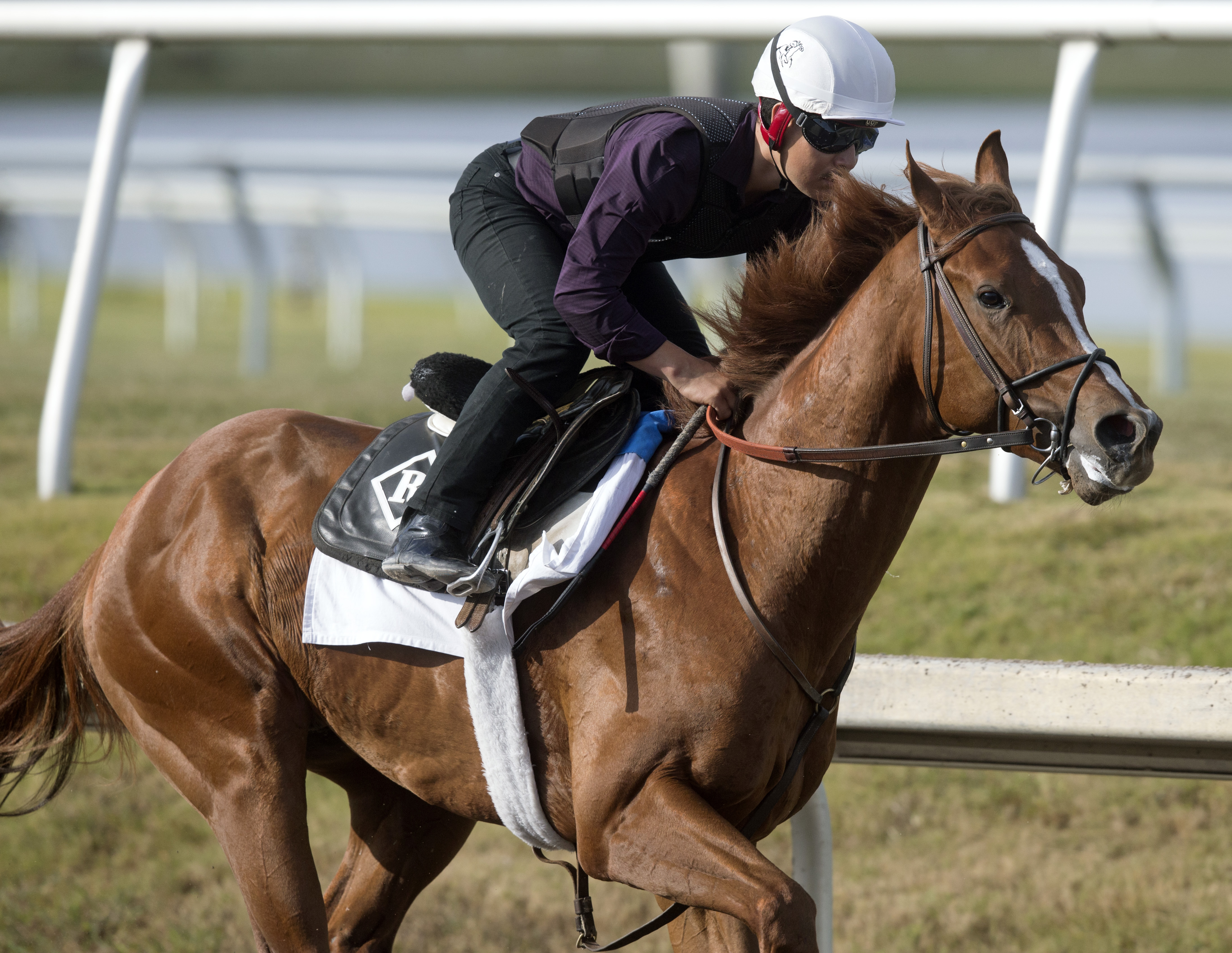 Promises Fulfilled works at Gulfstream 3-24-2018