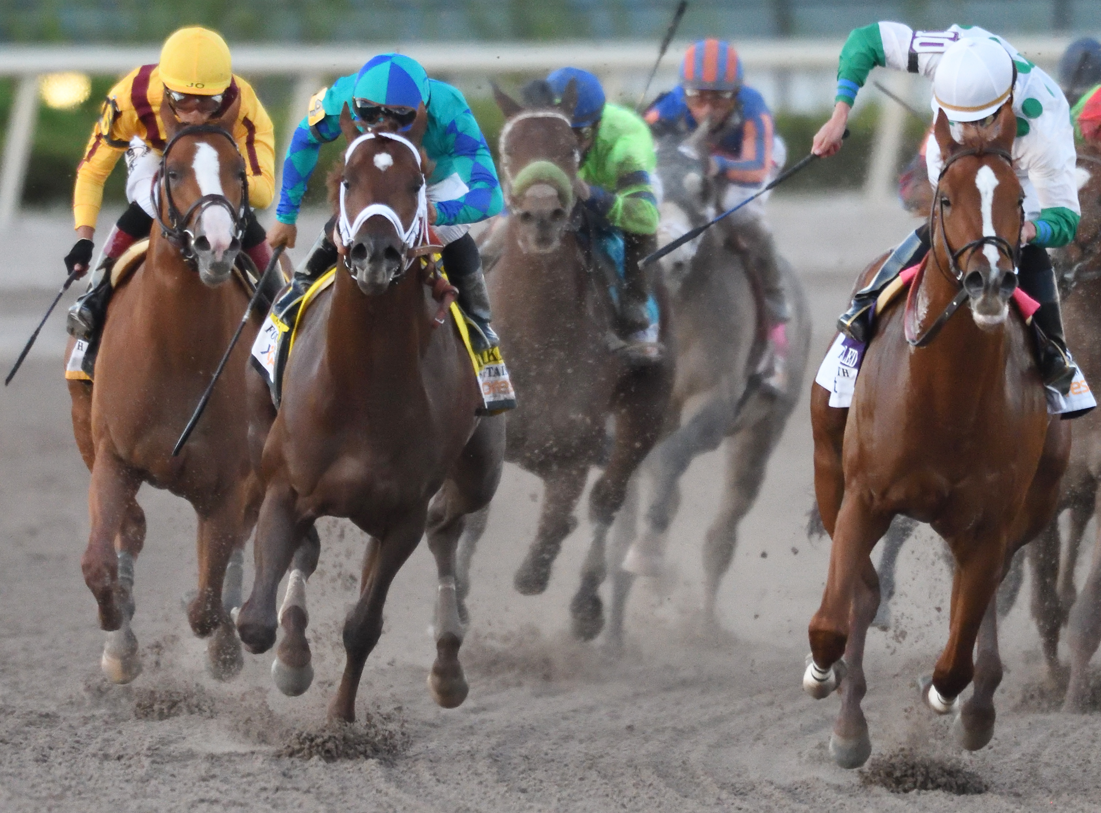 Strike Power finishes second in the Fountain of Youth Stakes