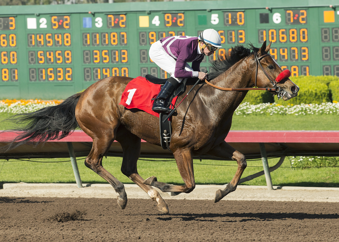 Promnesia wins a Dec. 14 maiden race