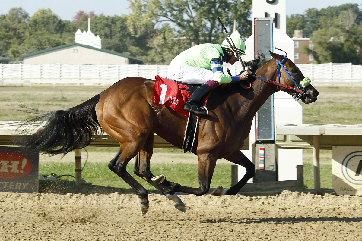 Proper Discretion wins the 2017 Diana Stakes