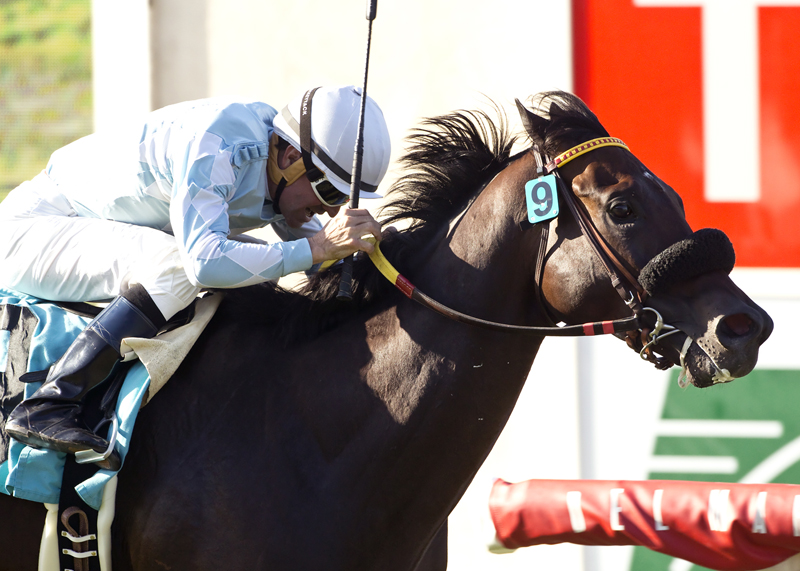 Prospect Park wins 2015 La Jolla