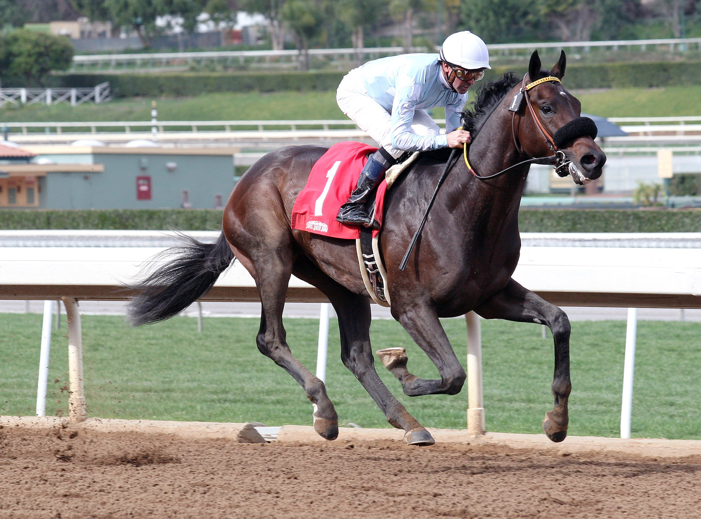 Prospect Park wins an allowance
