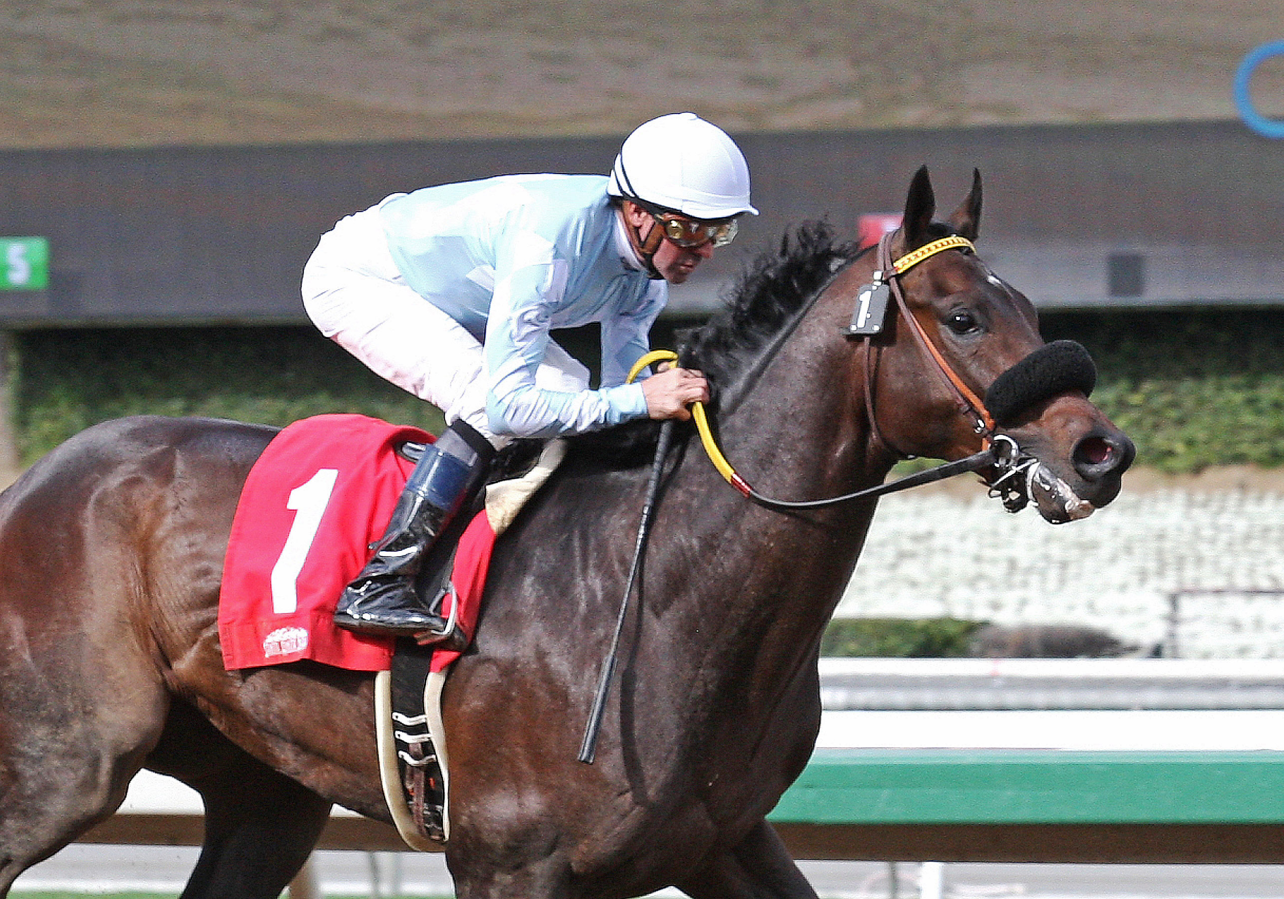 Prospect Park to miss Kentucky Derby