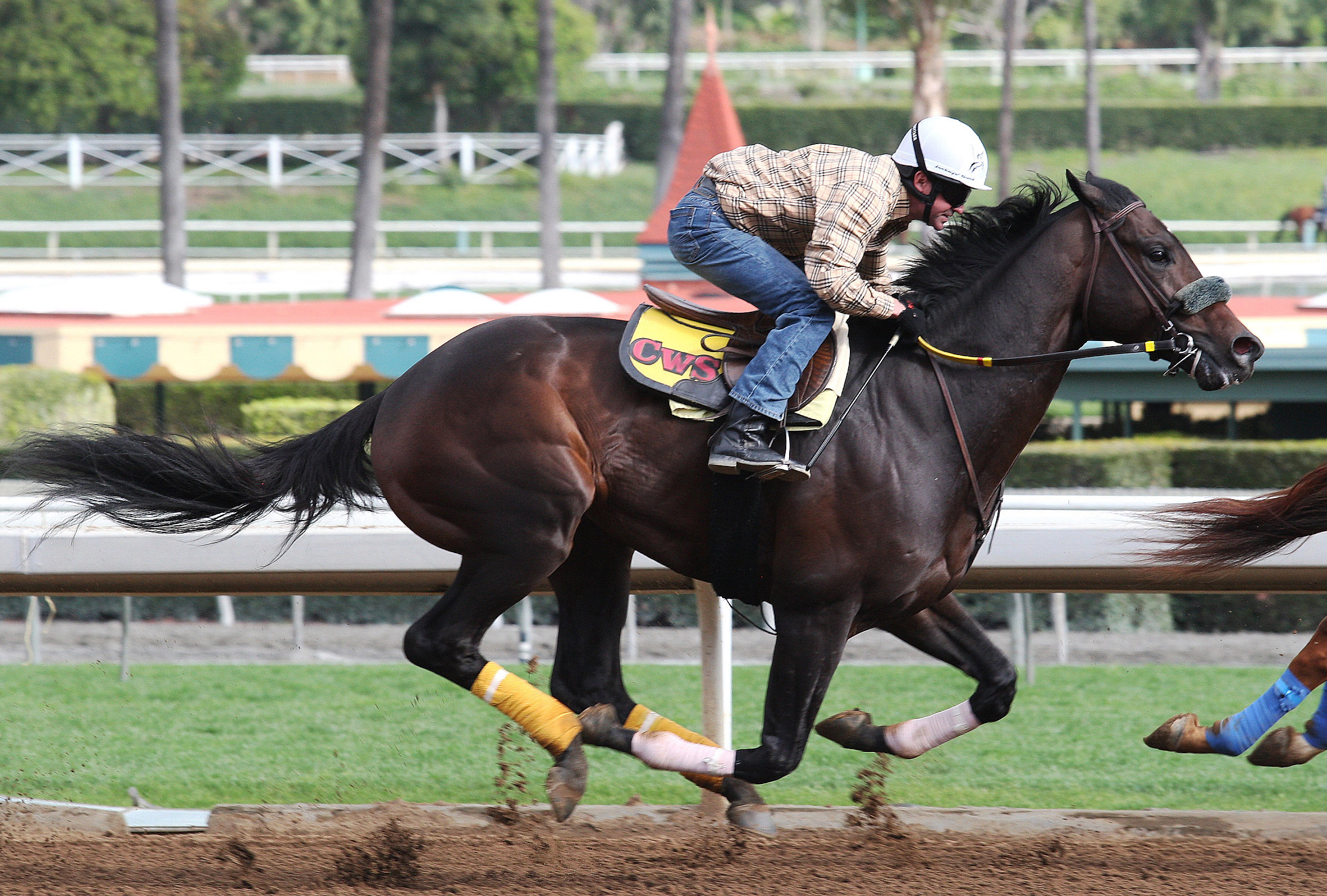 Prospect Park training at Santa Anita in February