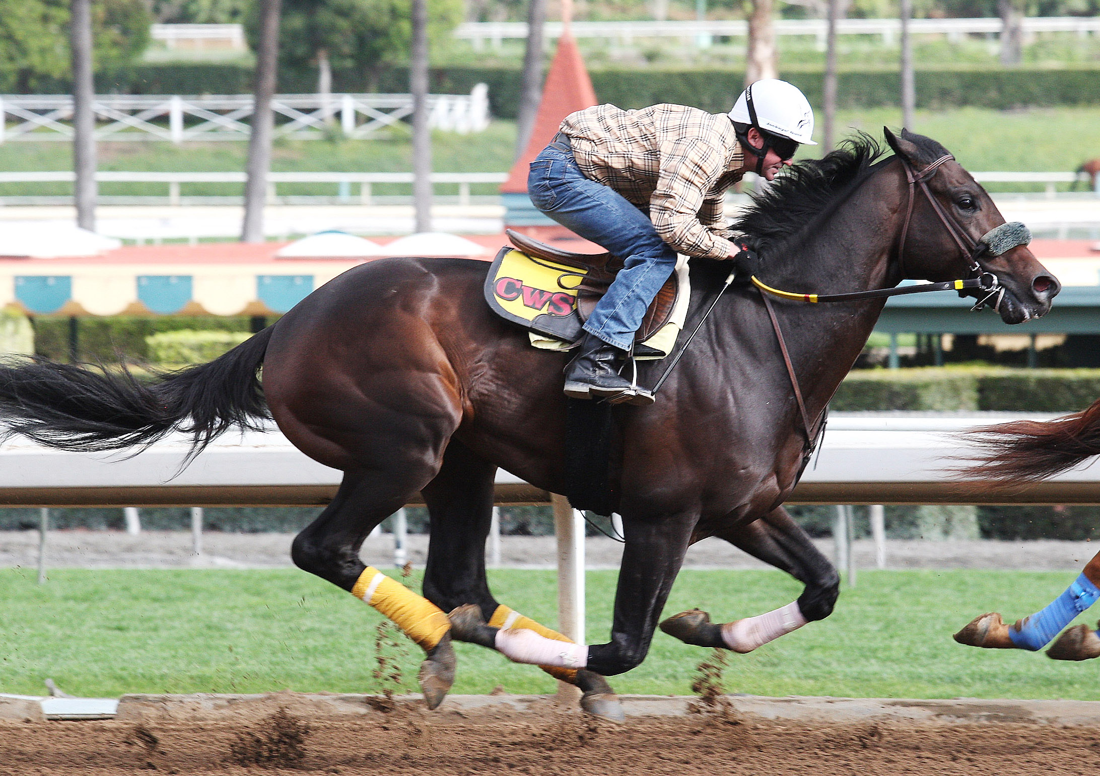 Prospect Park trains at Santa Anita in February