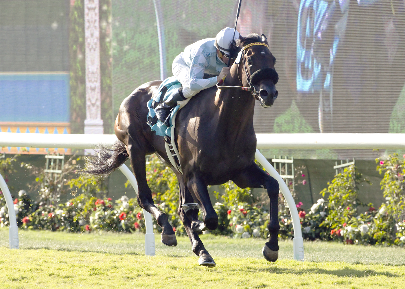 Prospect Park wins the La Jolla