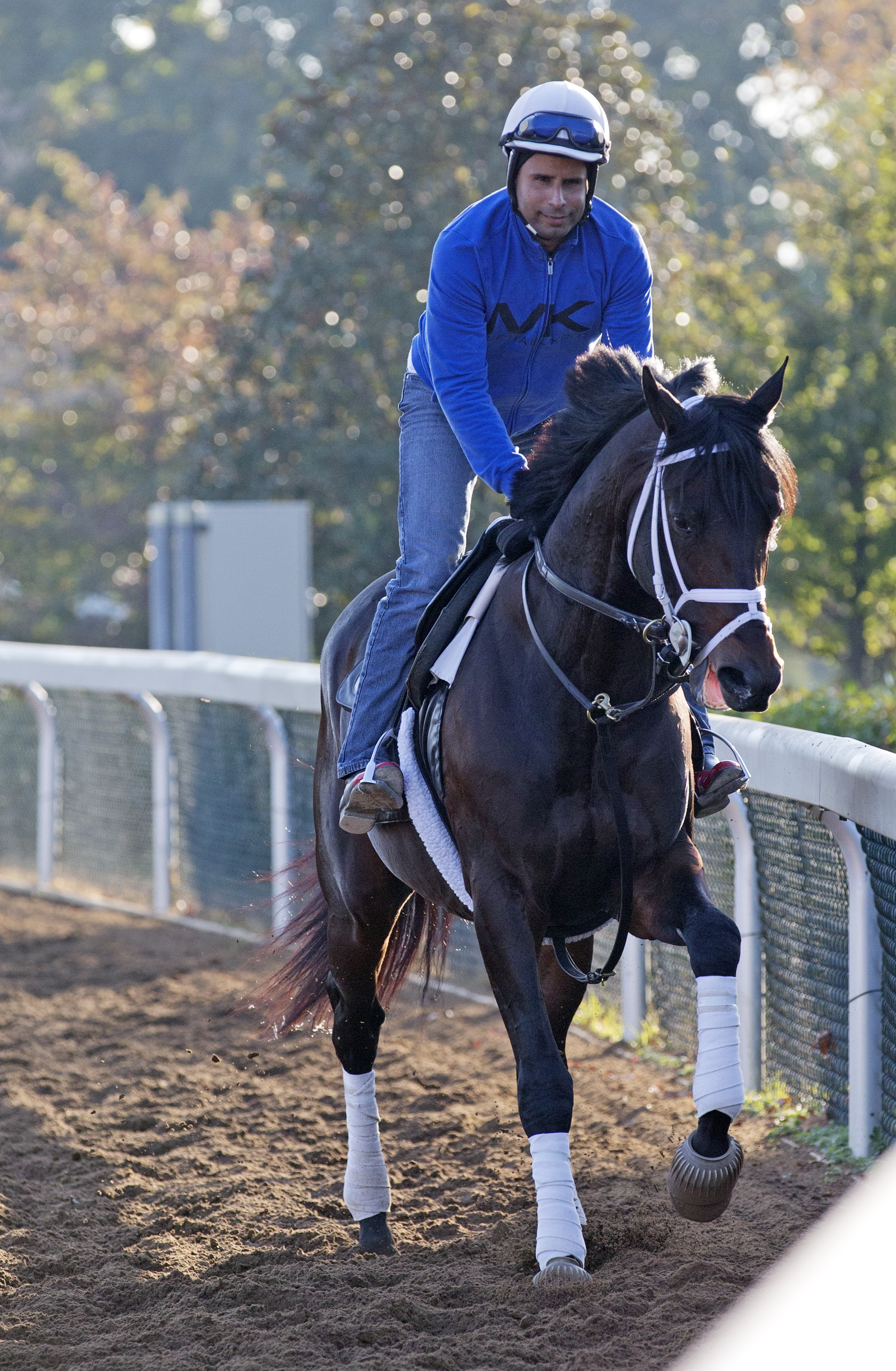 Protonico trains on Oct. 23 at Keeneland
