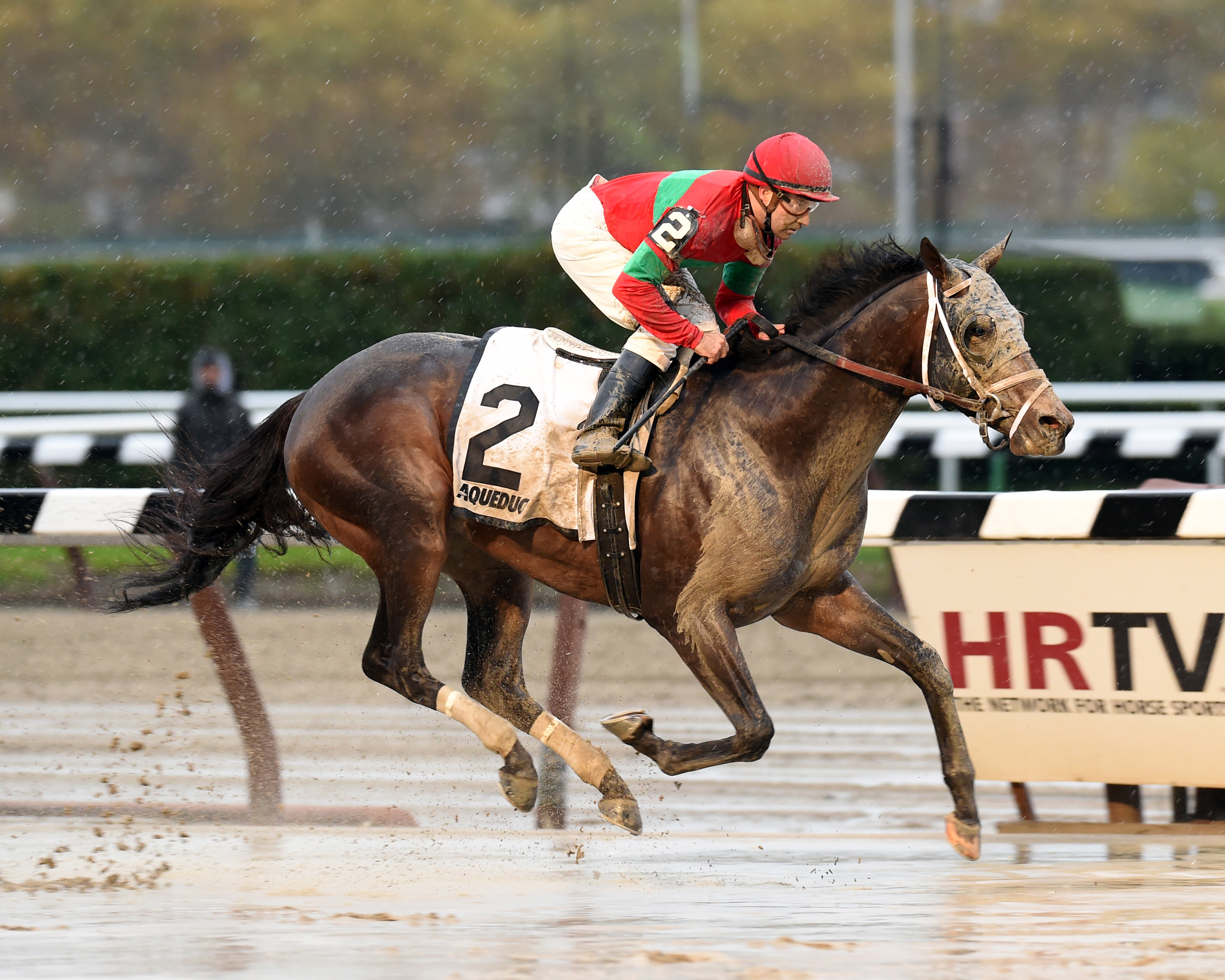 Protonico wins the Discovery