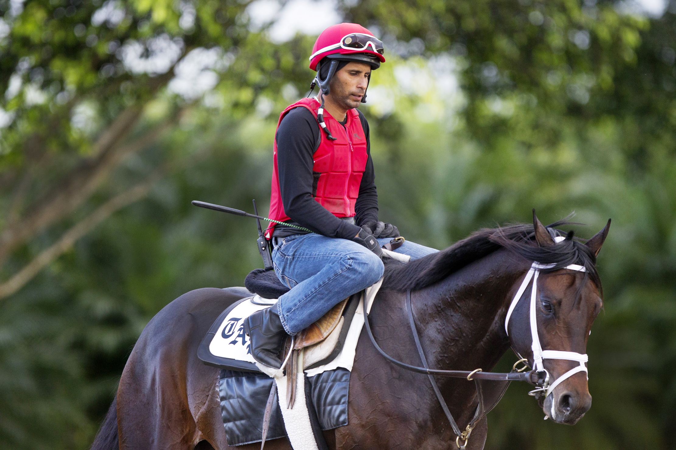 Protonico at Palm Meadows on Feb. 1