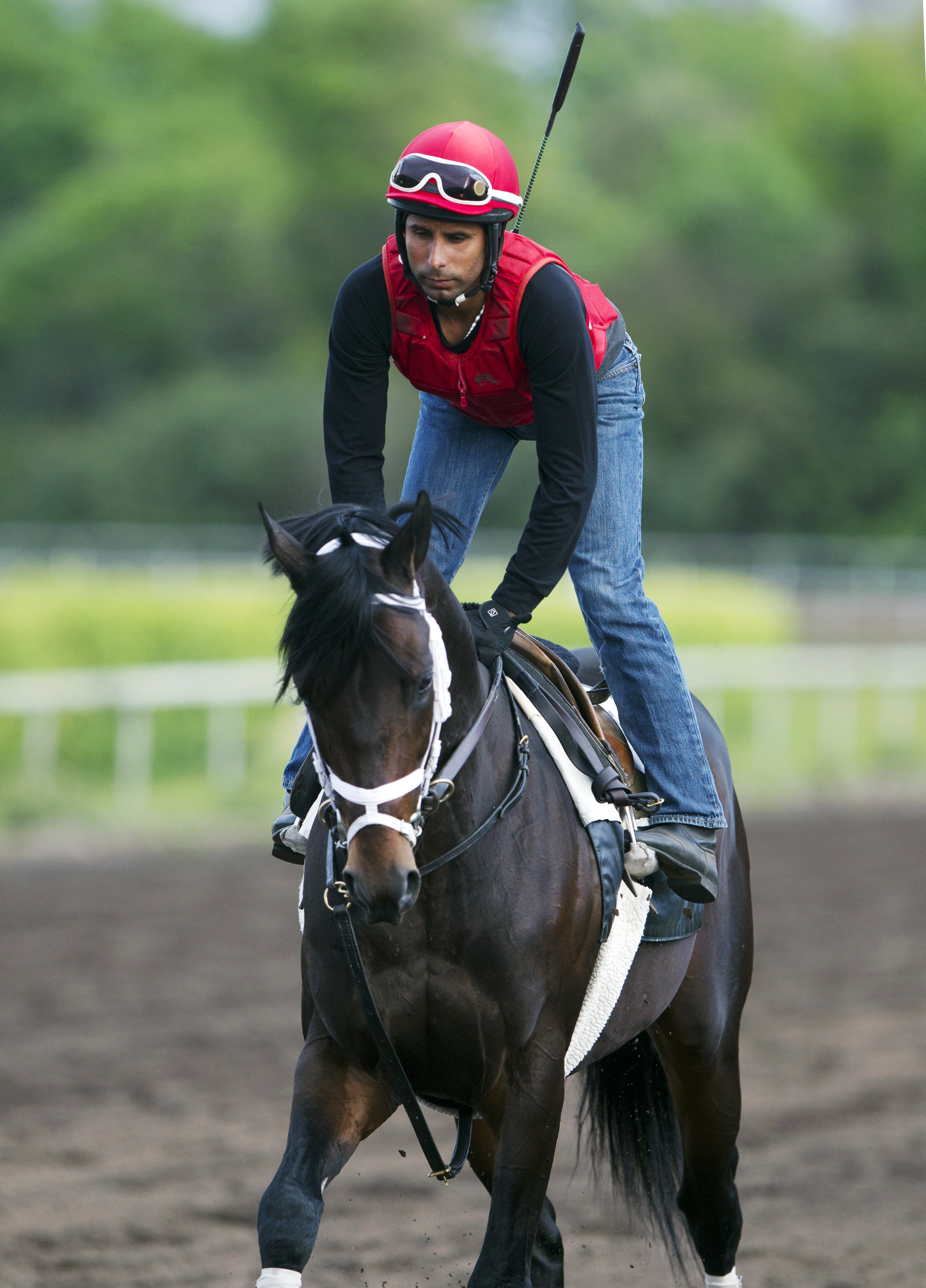 Protonico at Palm Beach Downs on Feb. 1