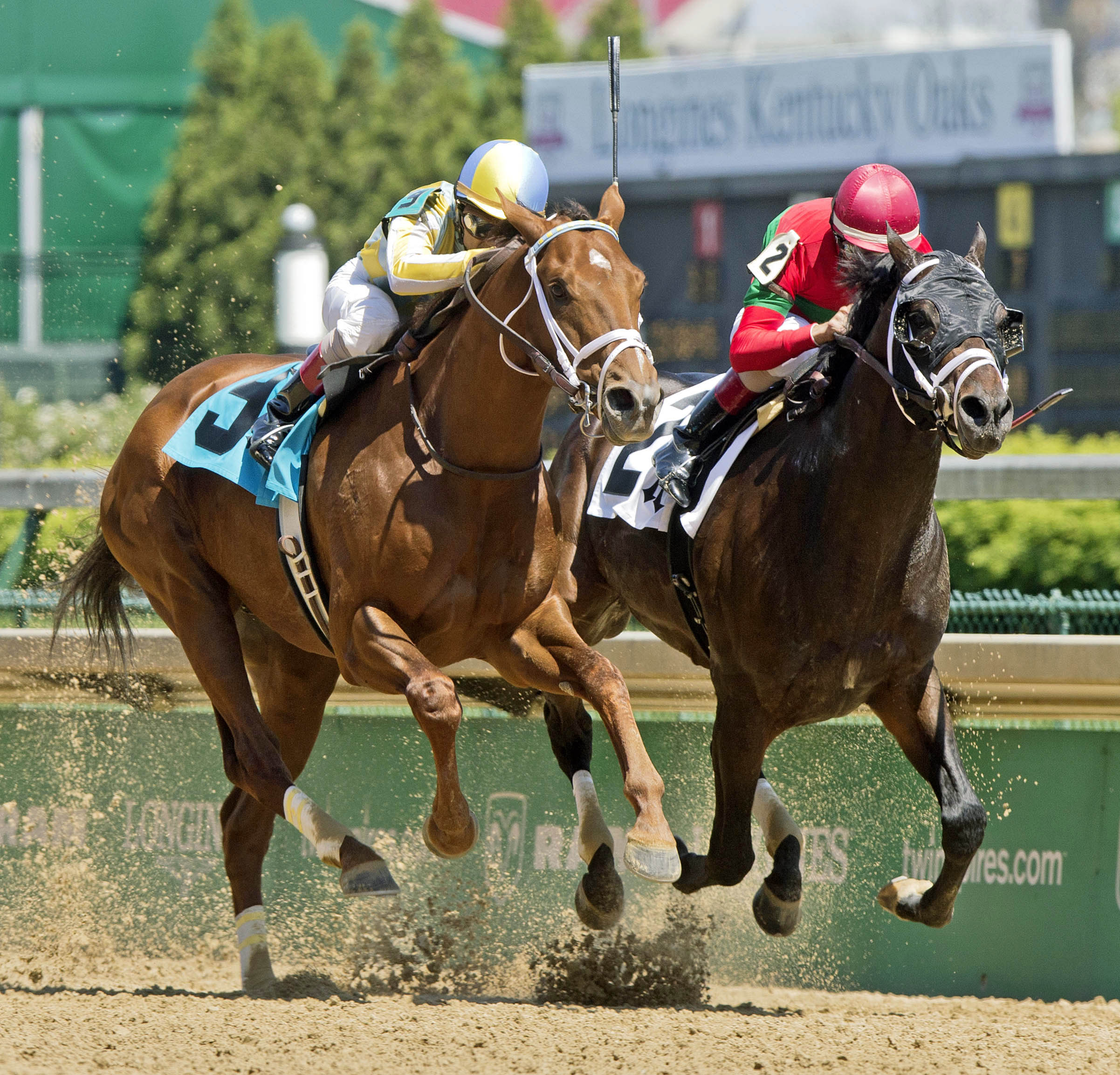 Noble Bird loses to Protonico in the Alysheba Stakes