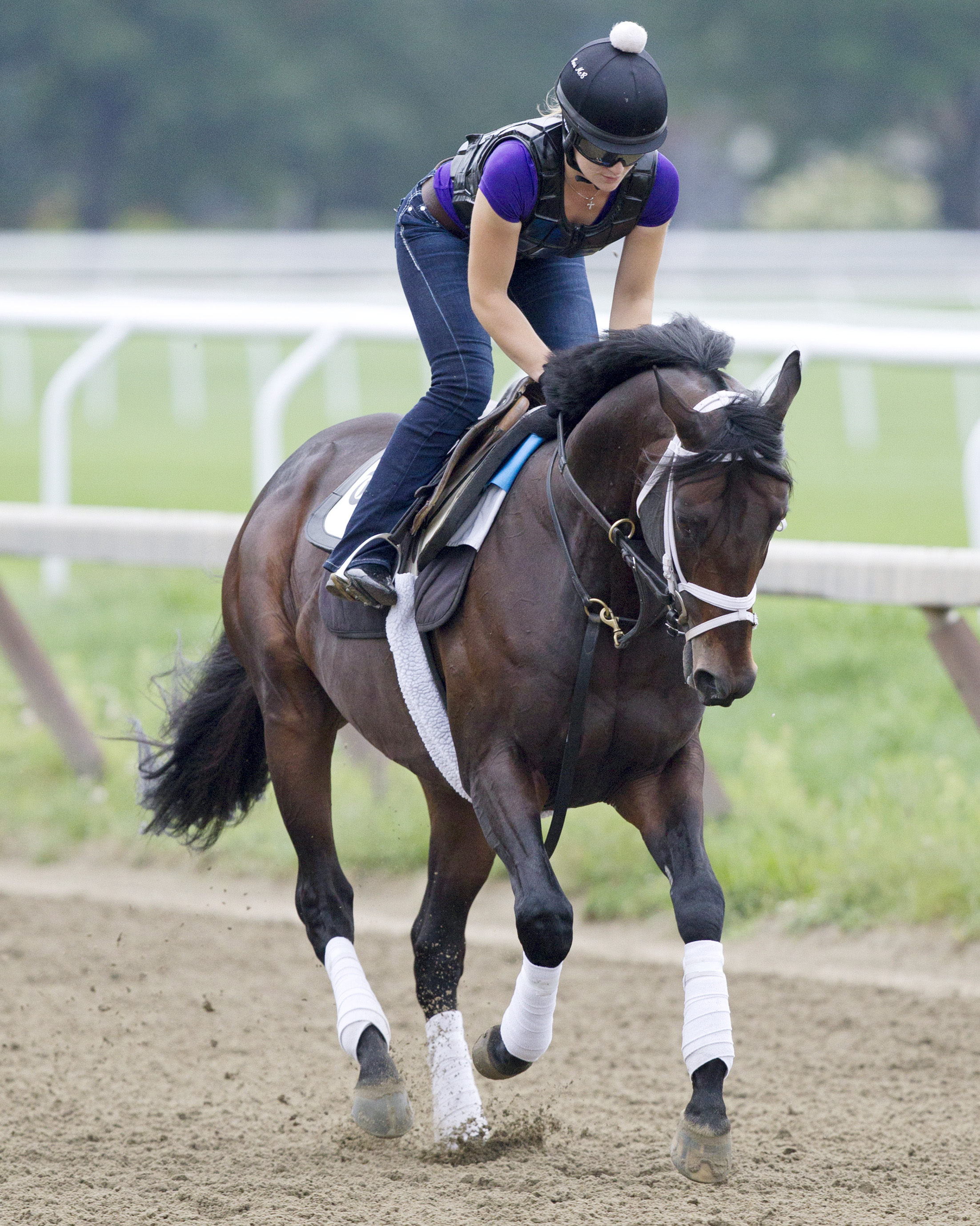 Protonico trains at Saratoga on Aug. 16
