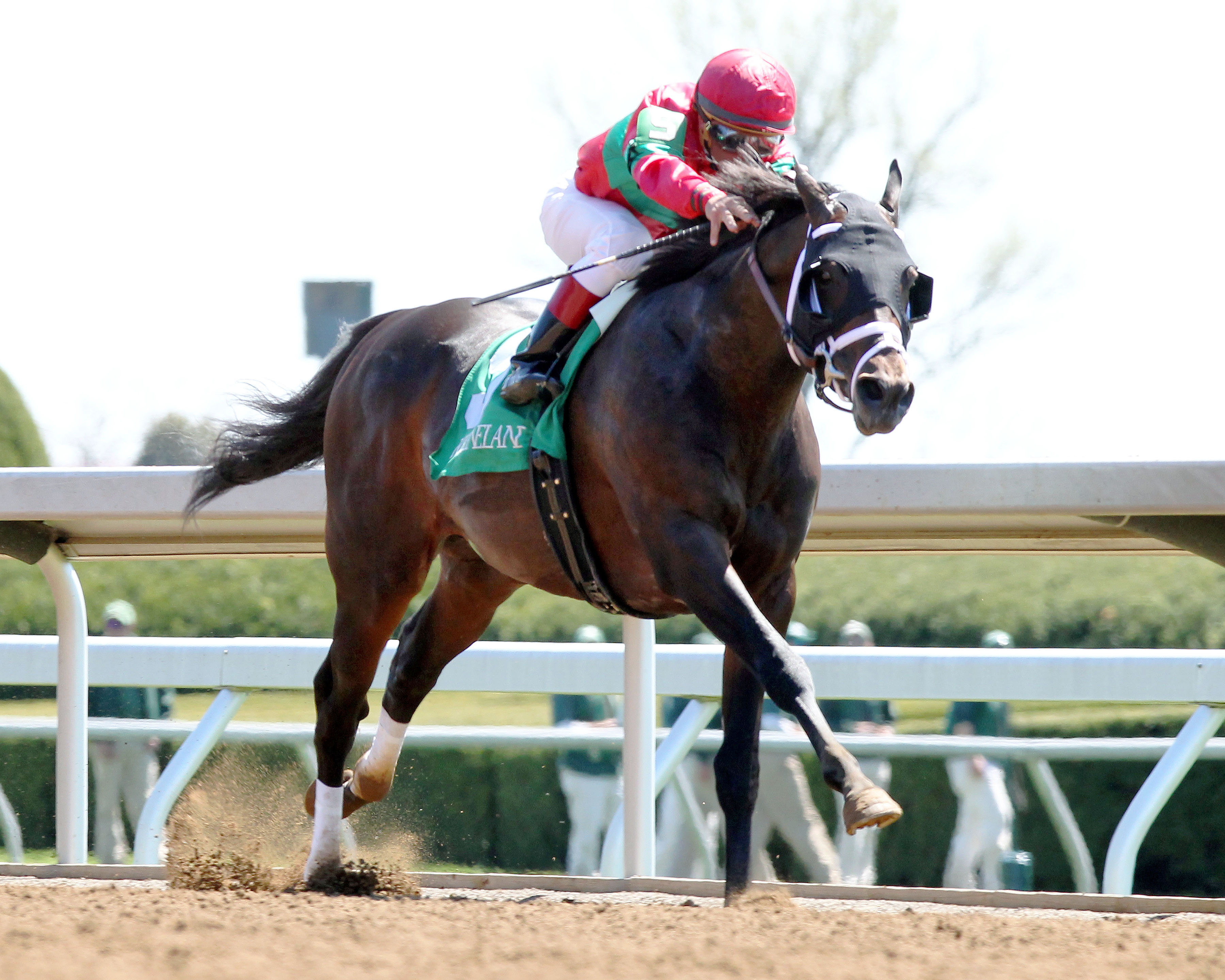 Protonico wins the Ben Ali