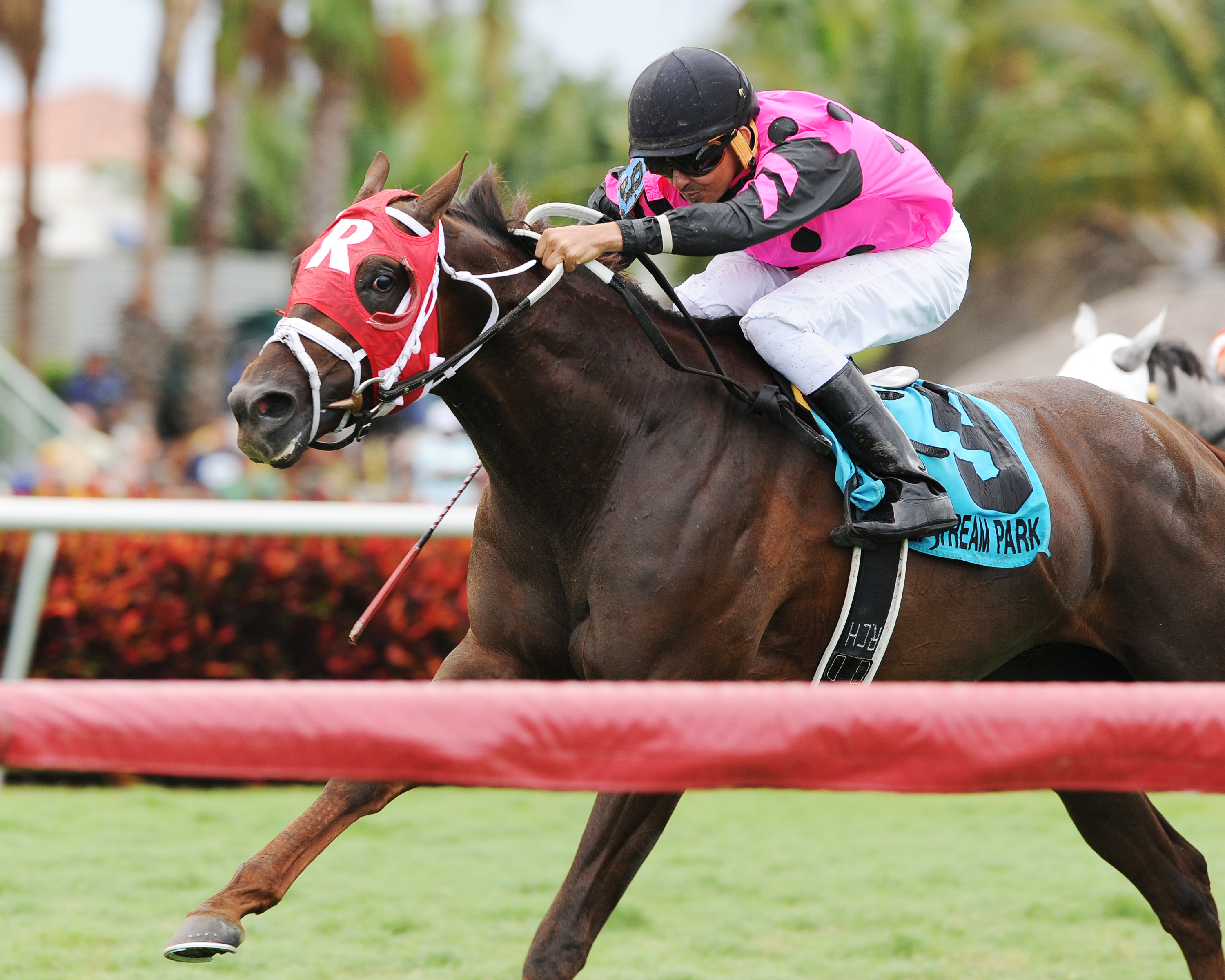 Proud Azteca wins the English Channel Stakes