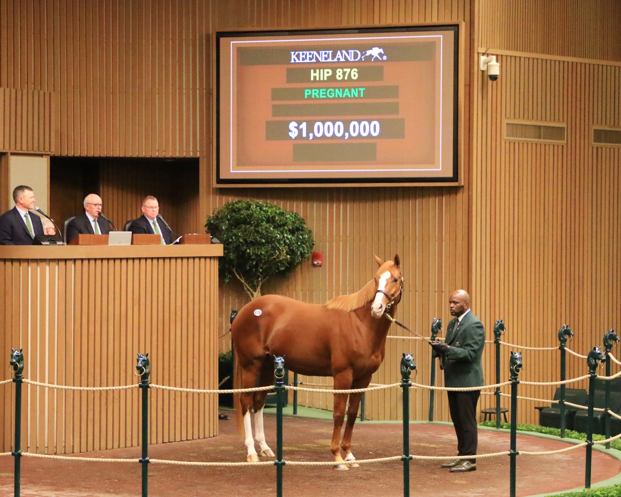 Proud Emma - Keeneland Sales