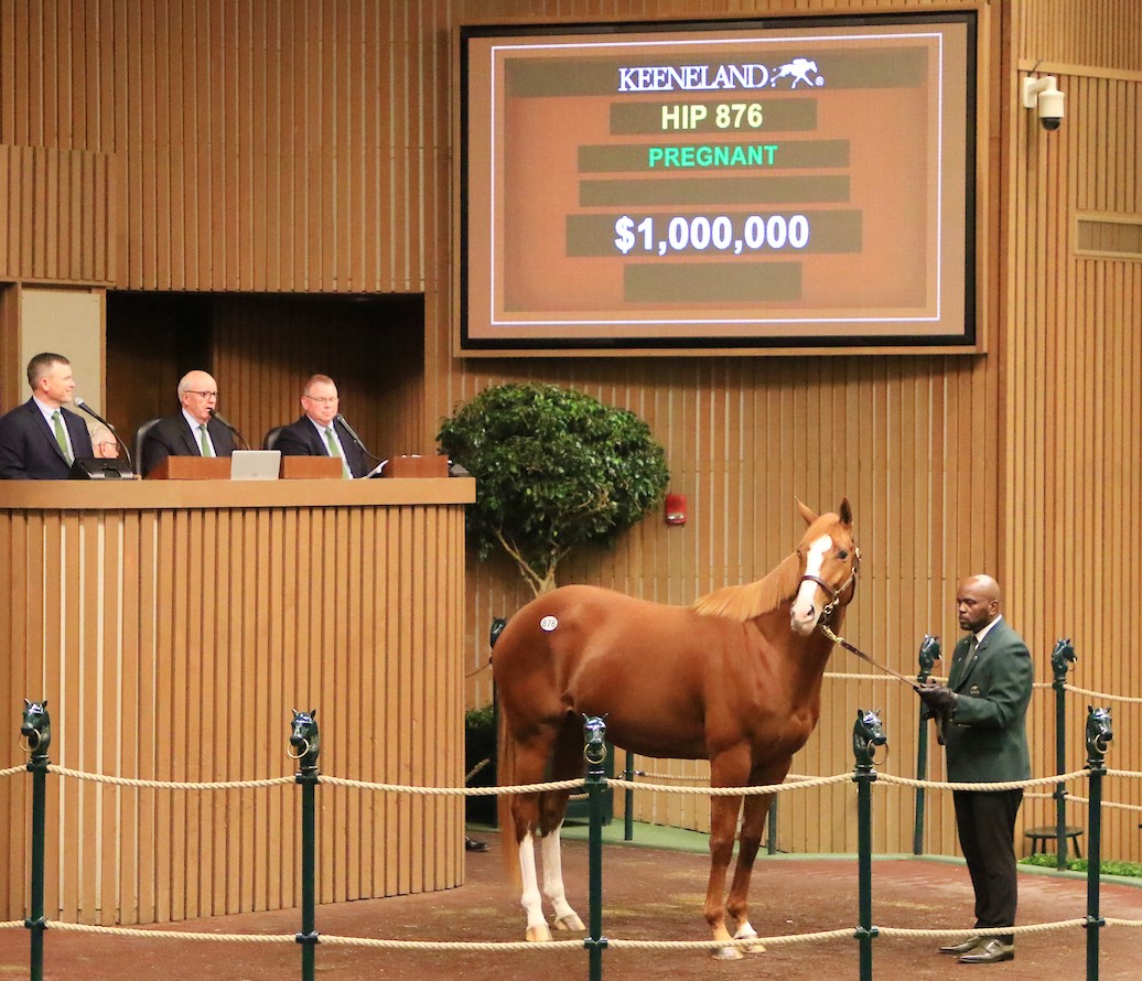 Proud Emma sells at Keeneland Nov 9 2022