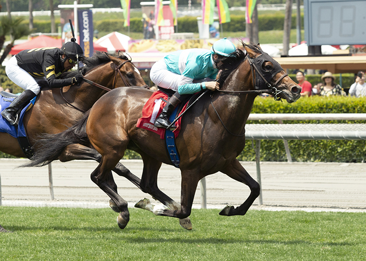 Proud Pedro wins a May 25 maiden race at Santa Anita