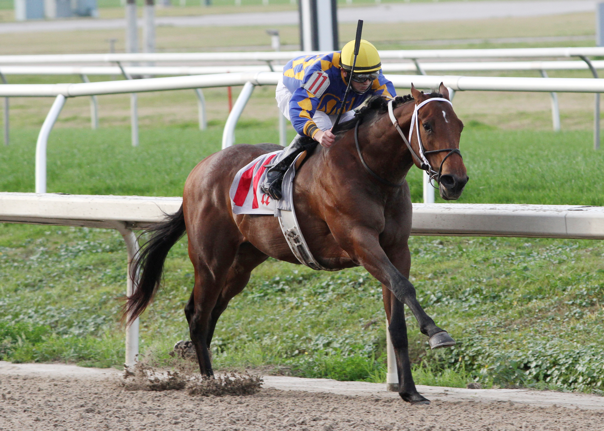 Proud Strike, maiden win