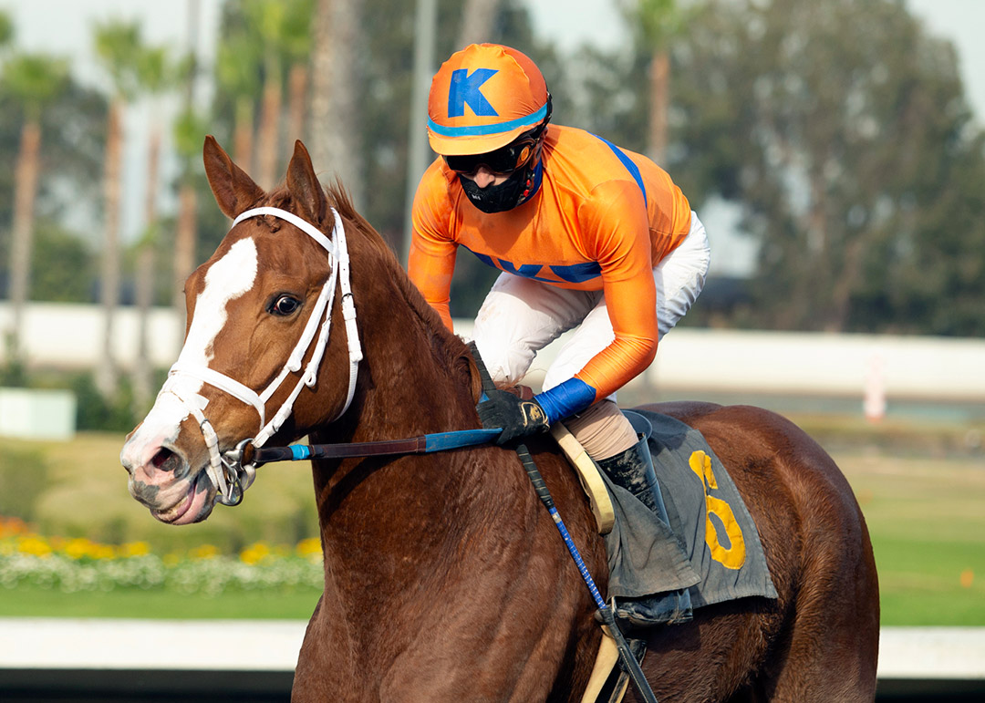Proud Emma wins the 2020 Bayakoa Stakes at Los Alamitos