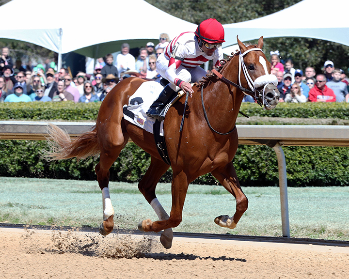 Proverb wins a March 2019 maiden race at Oaklawn Park