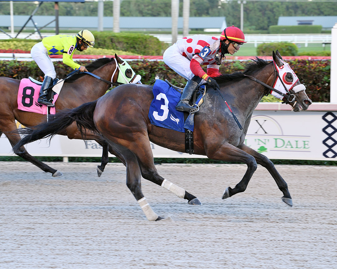 Psychic Ability wins a February 2021 allowance at Gulfstream Park