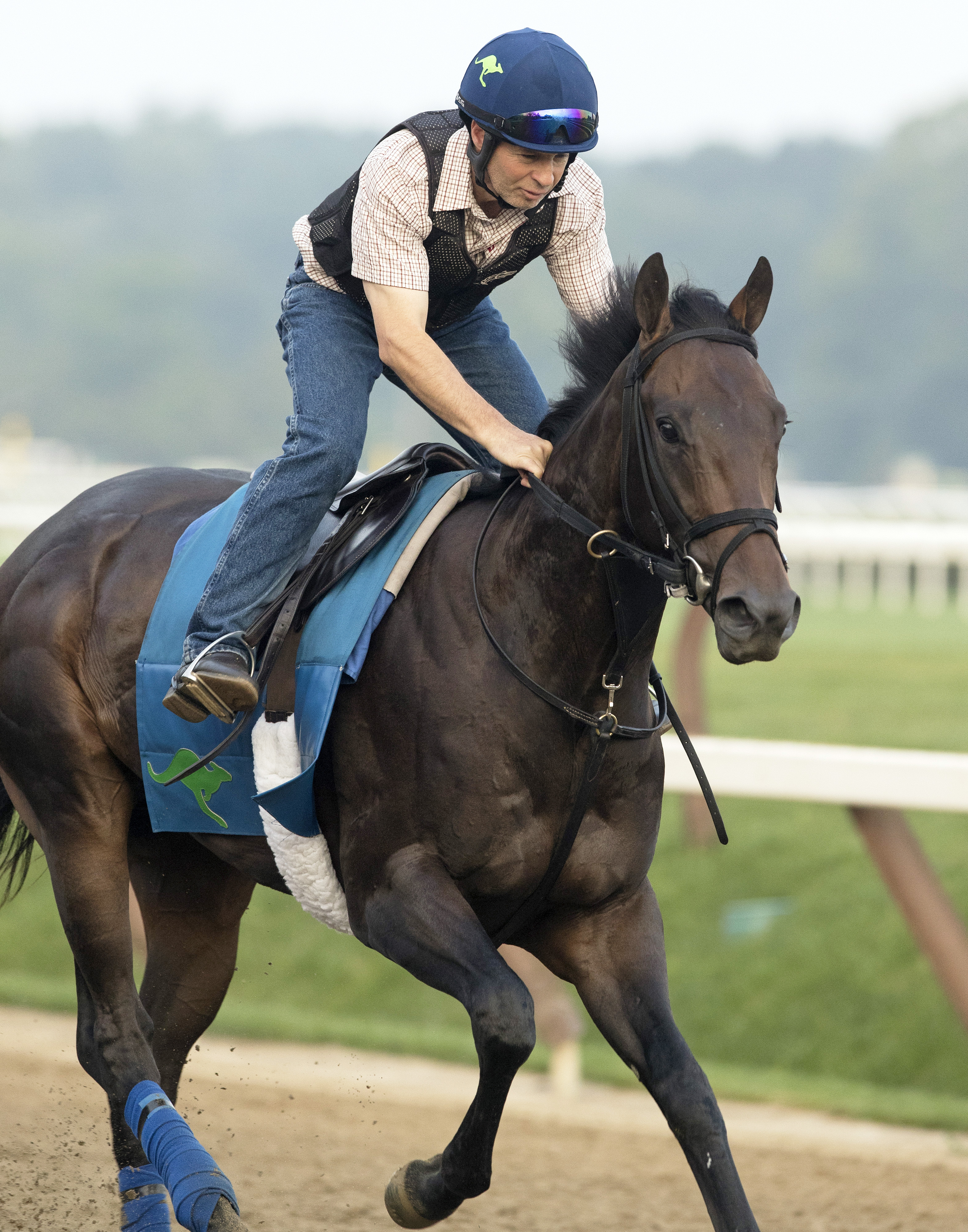 Psychoanalyze at Saratoga on July 20, 2017