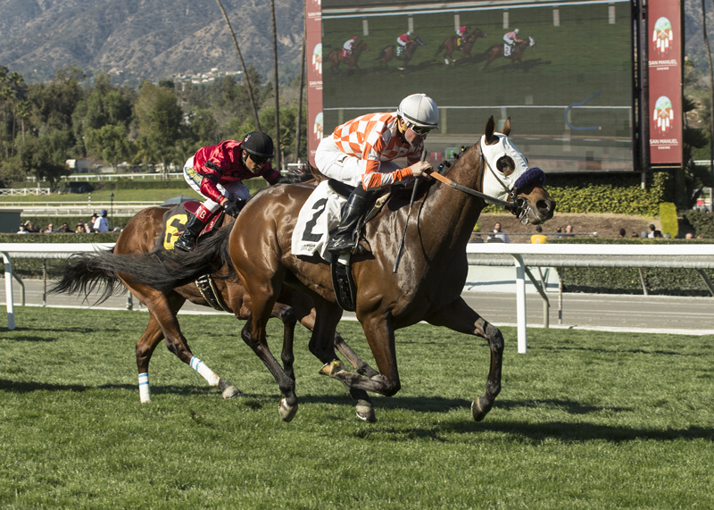 Pubilius Syrus wins 2018 Baffle Stakes