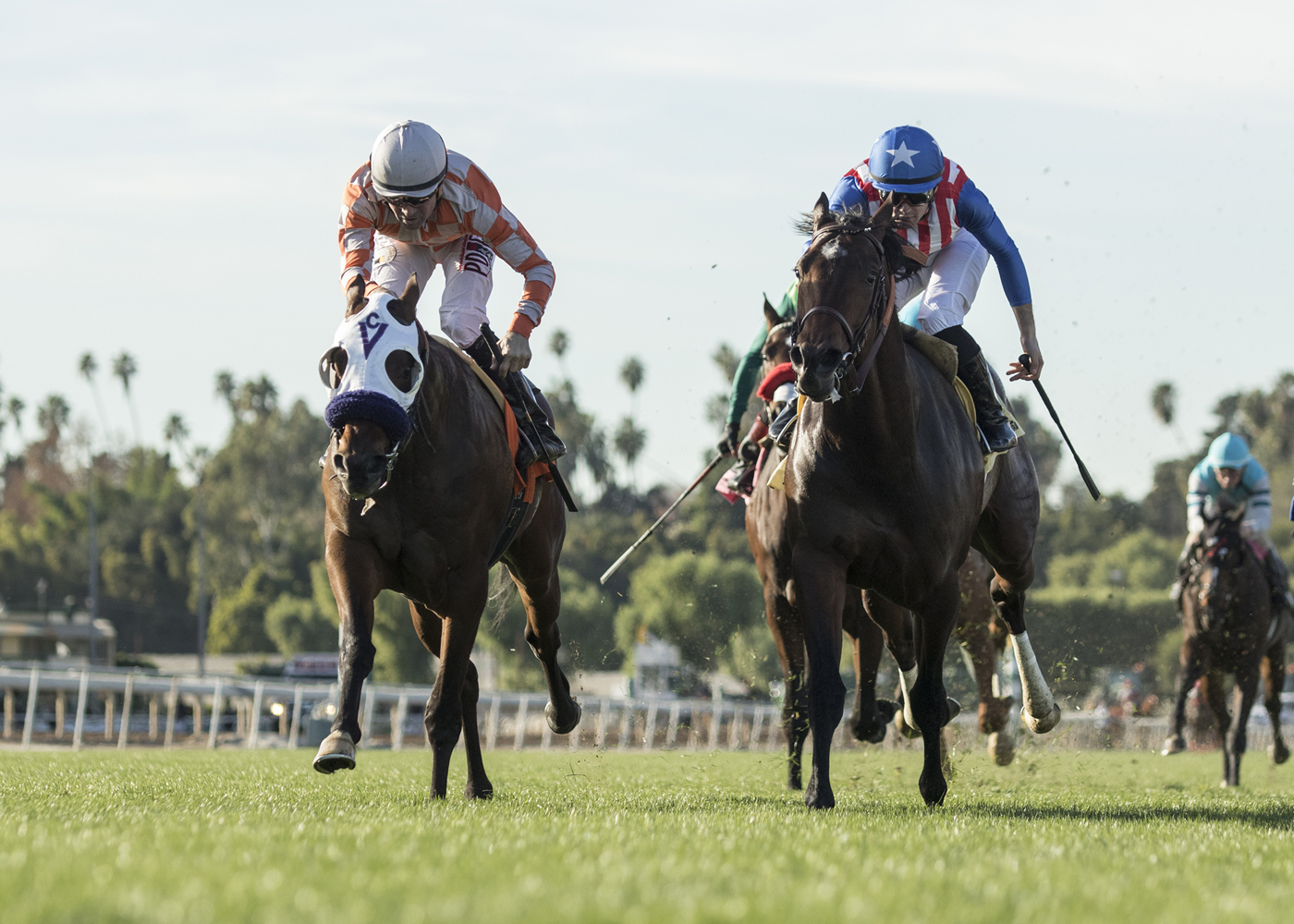 Pubilius Syrus wins the 2017 Eddie Logan Stakes