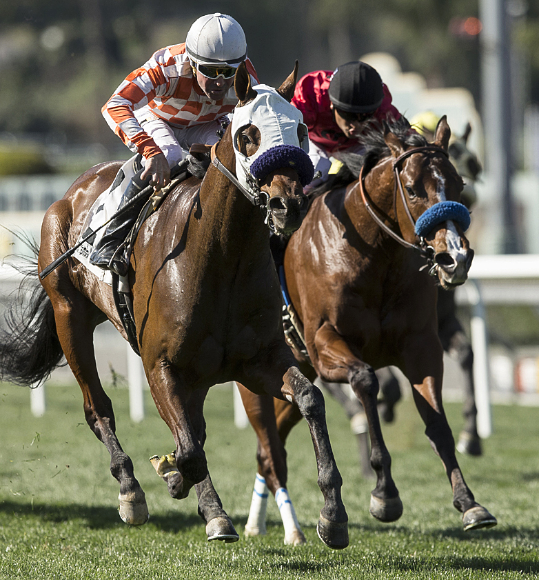 Afleet Ascent finishes second in the 2018 Baffle Stakes